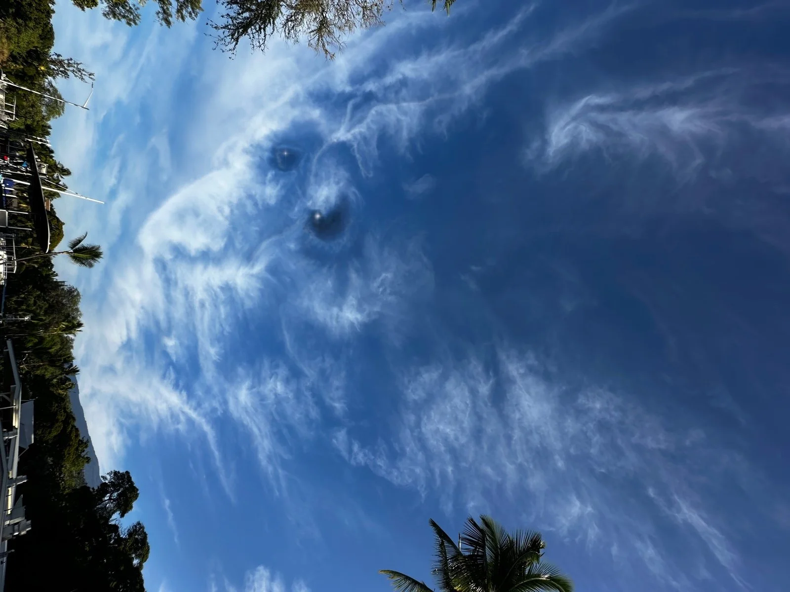 Blue sky with wispy white clouds and palm trees at the bottom of the image.