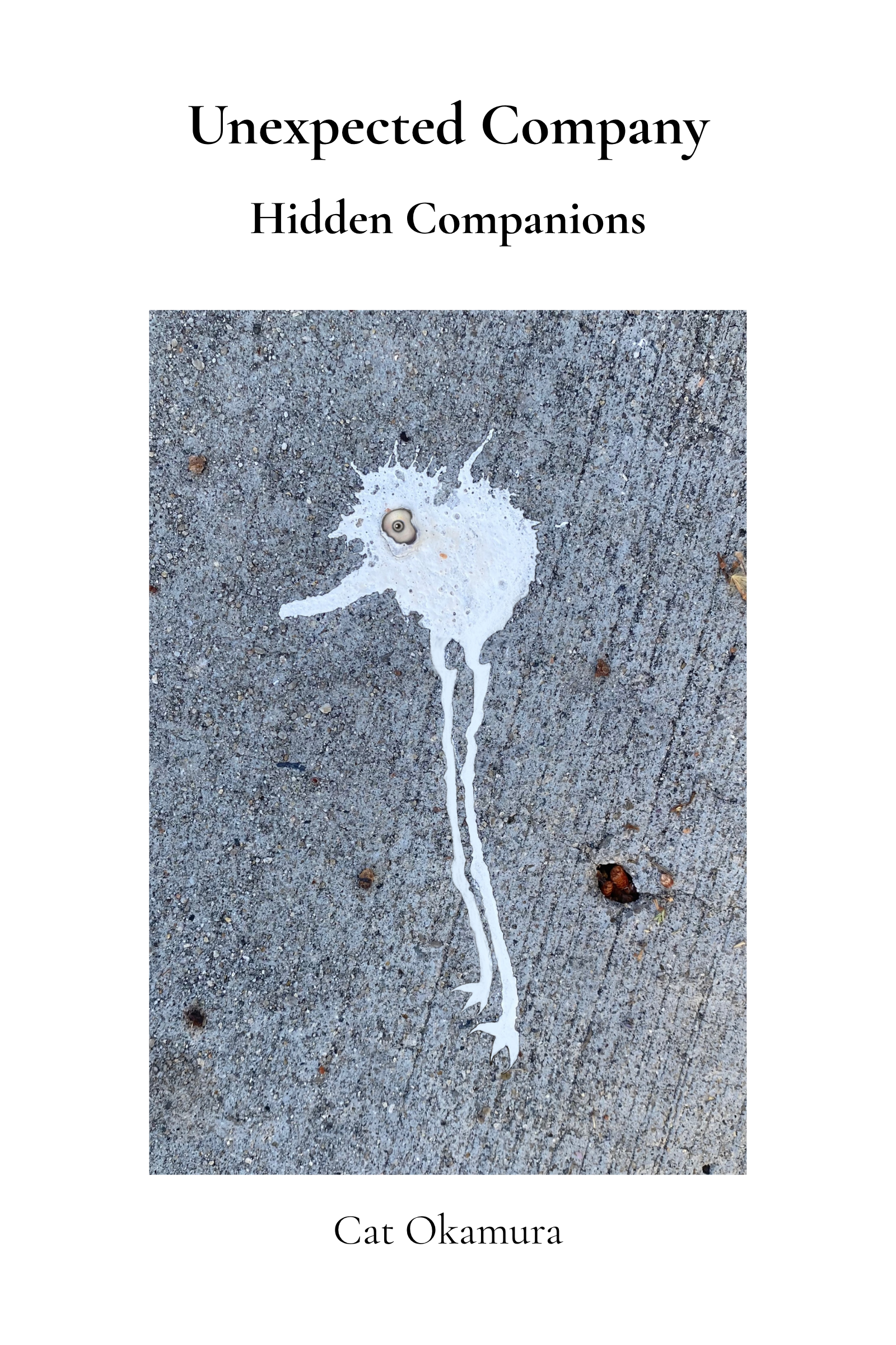 Hidden Companions