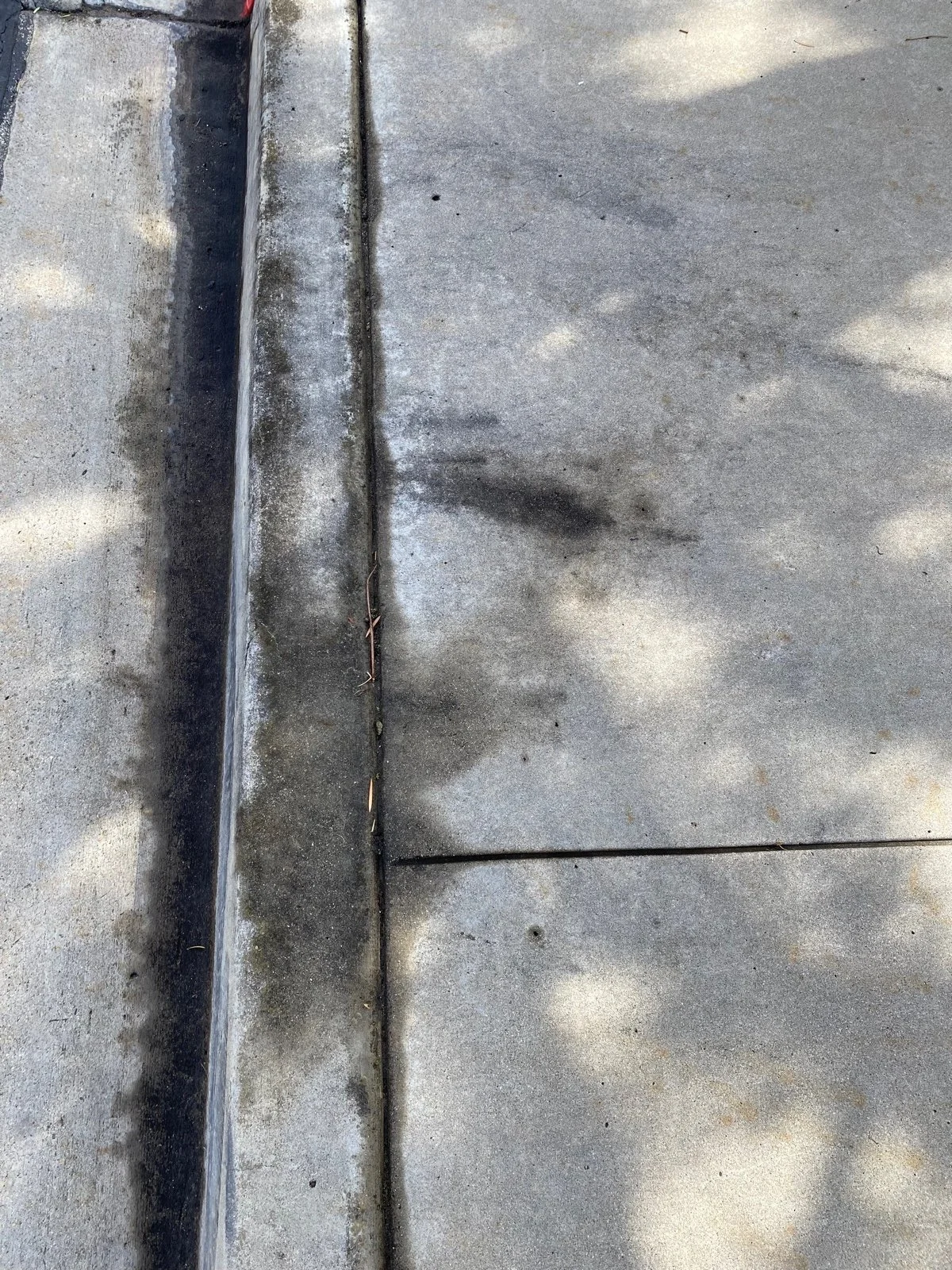 Concrete sidewalk with expansion joint, slightly stained and weathered, with shadows cast from nearby objects.
