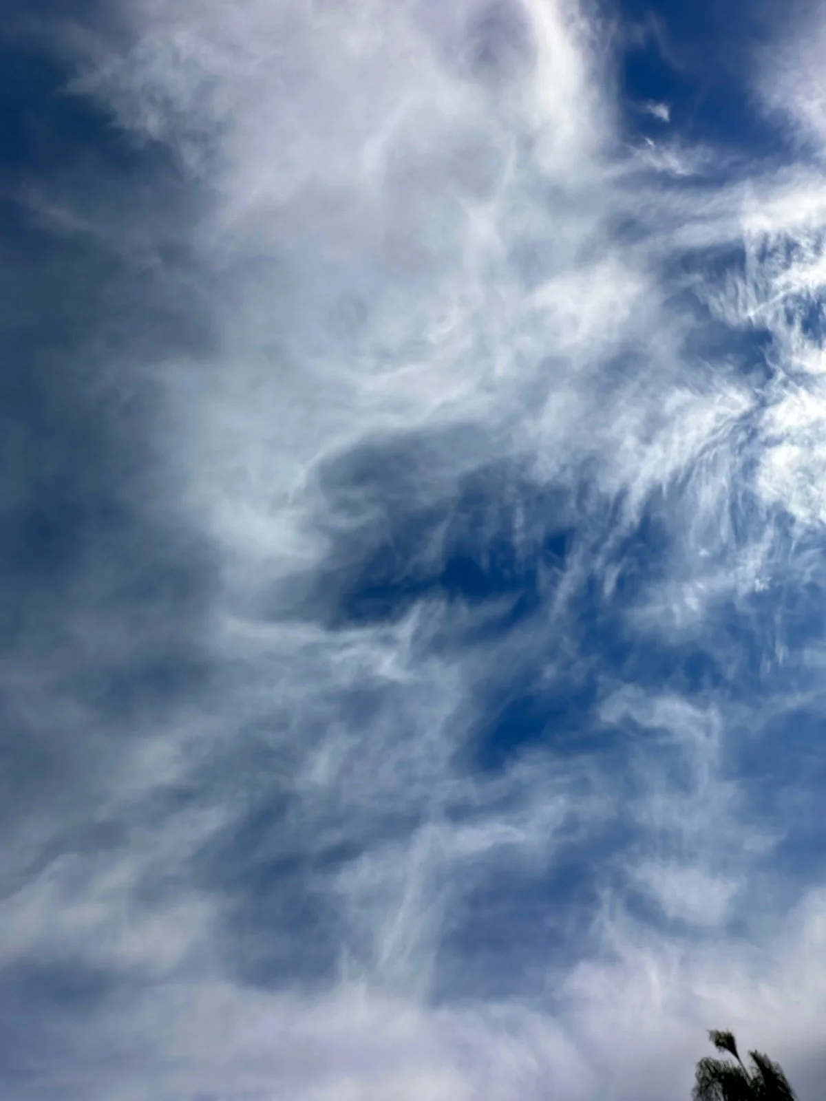 A sky filled with wispy, cirrus clouds against a blue background, with some tree branches visible at the bottom.
