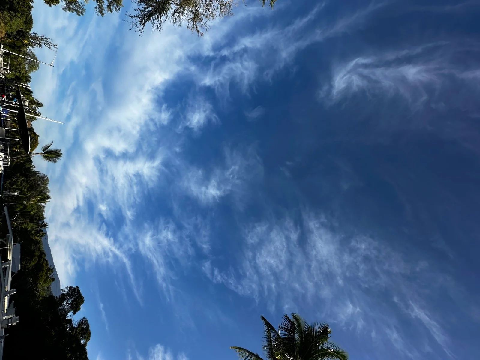 Clear blue sky with wispy white clouds, palm trees, and other trees along the horizon.