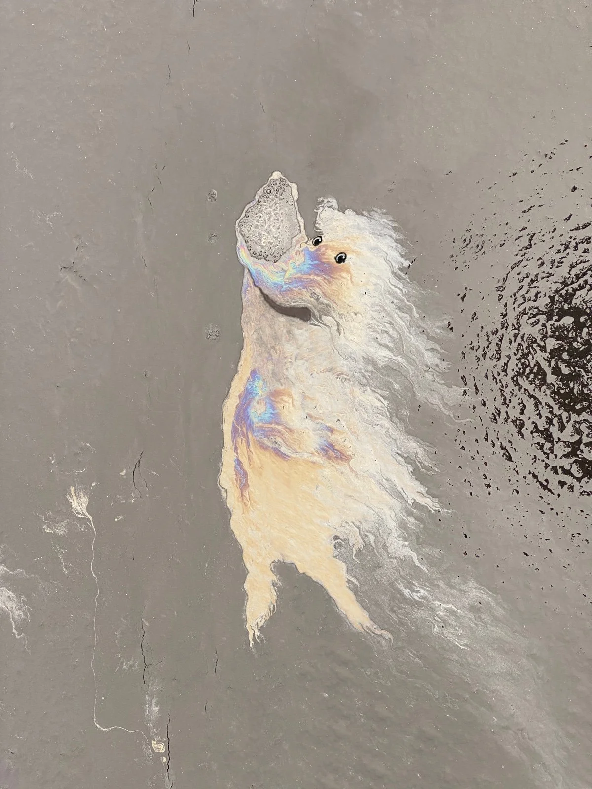 A bathroom floor with a cleaning soap suds pattern and a rainbow oil slick forming the shape of a dog.