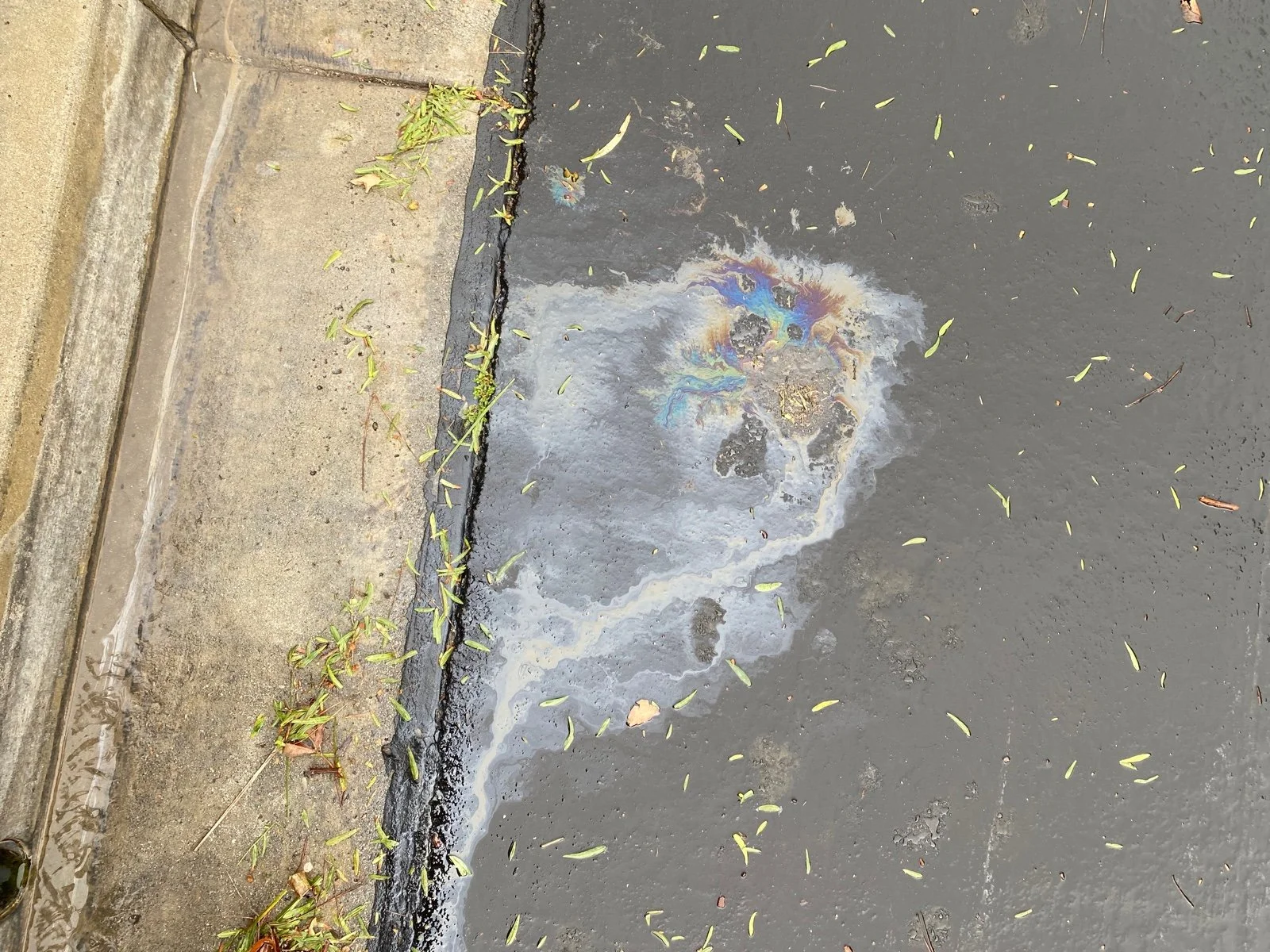 Colorful oil spill on wet pavement next to a concrete sidewalk with scattered leaves and small plants.