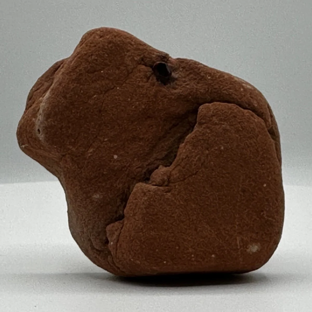 Close-up of a dried, brown, wrinkled fruit or seed with a small dark hole on one side, placed on a plain gray background.