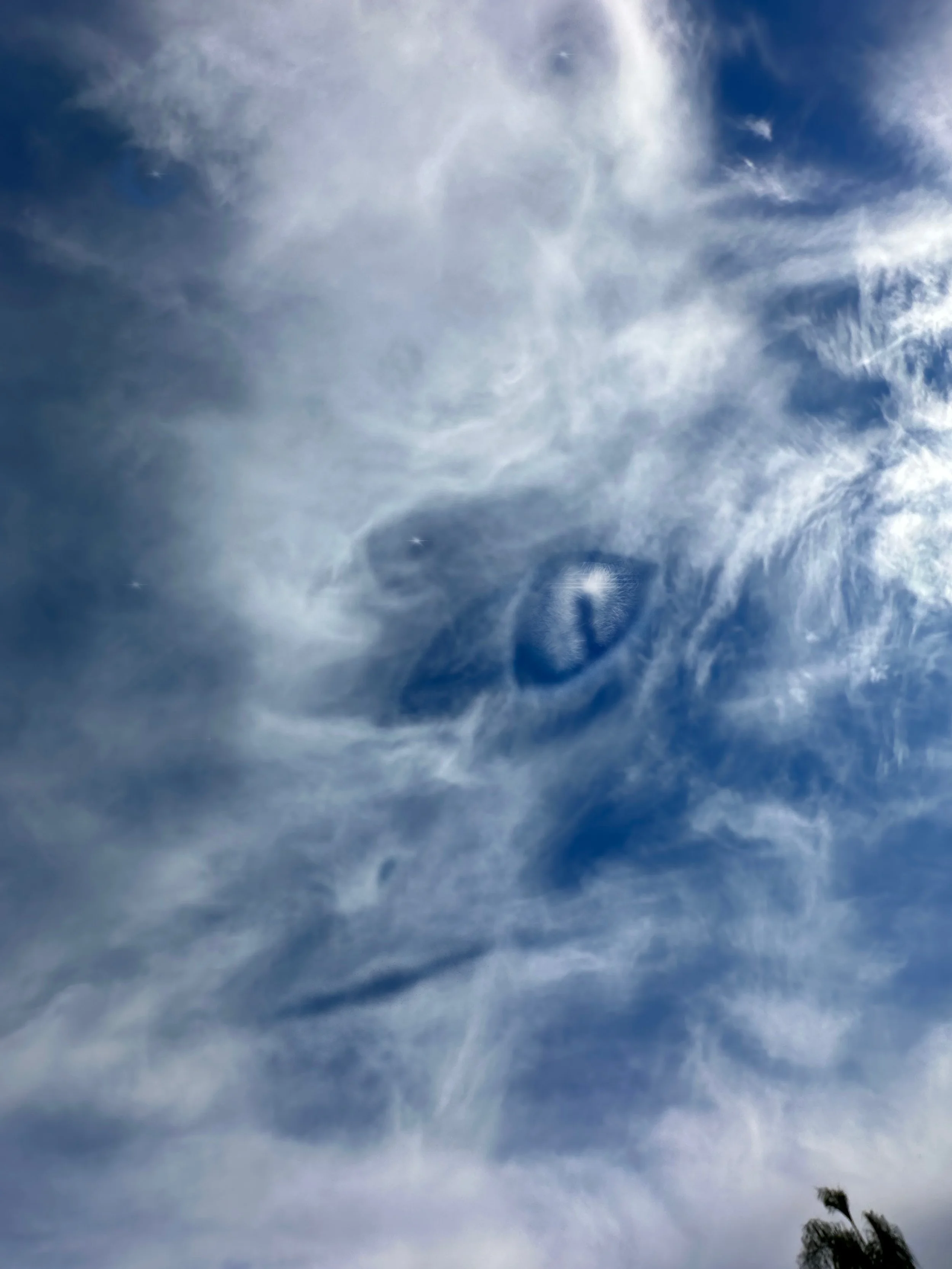 Sky filled with white clouds and patches of blue, with a tree branch in the lower right corner.