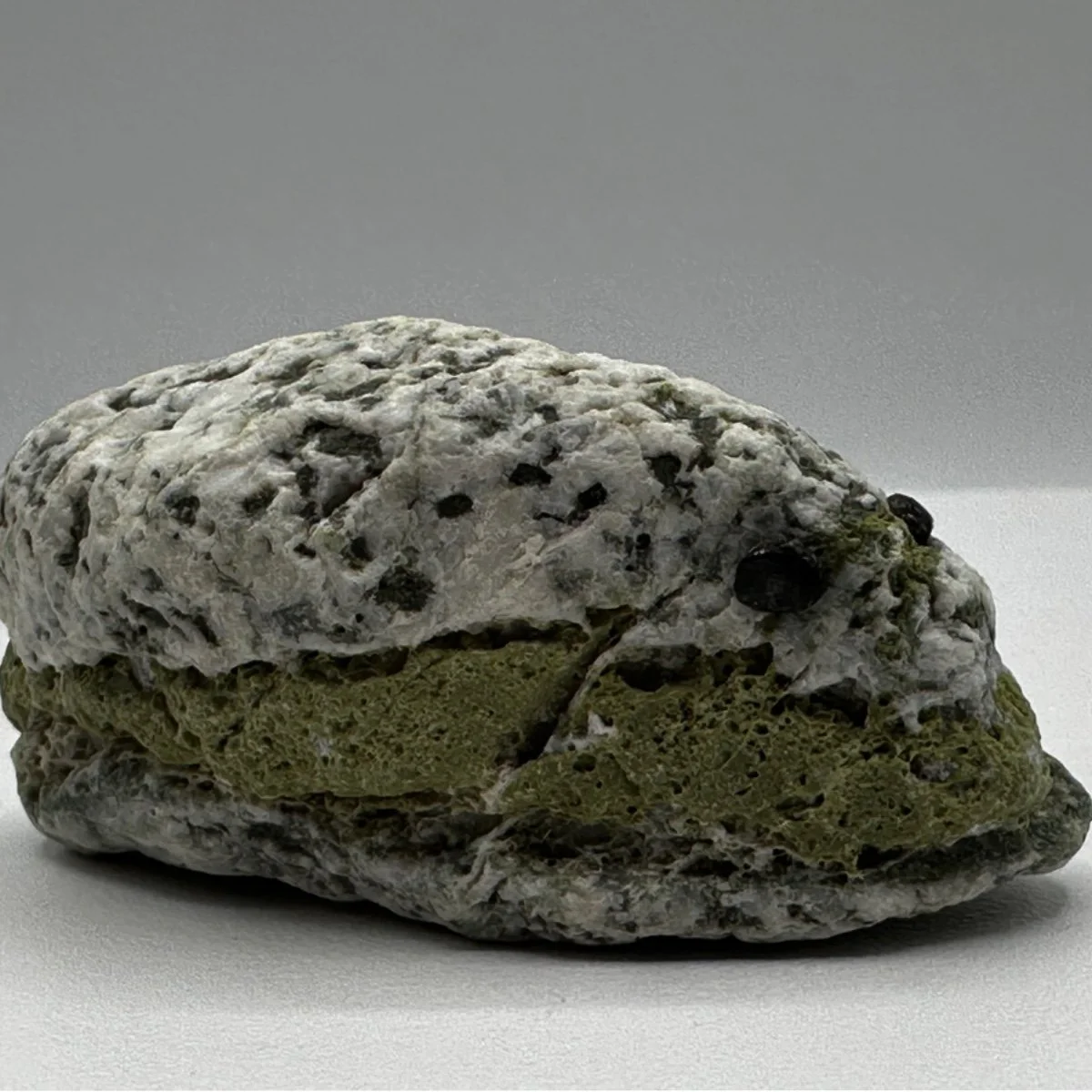 A mossy rock with patches of white, black, and dark green, placed on a plain light surface against a gray background.