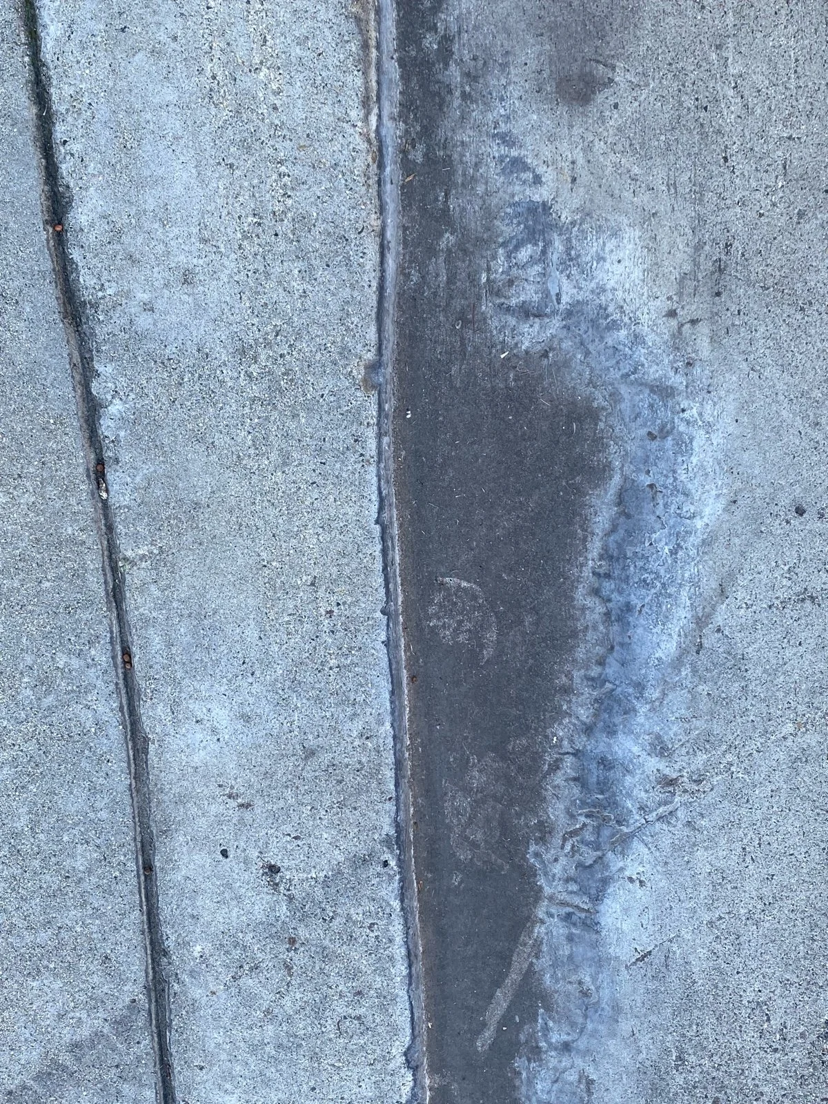 Close-up of concrete sidewalk with expansion joints and a black asphalt strip.