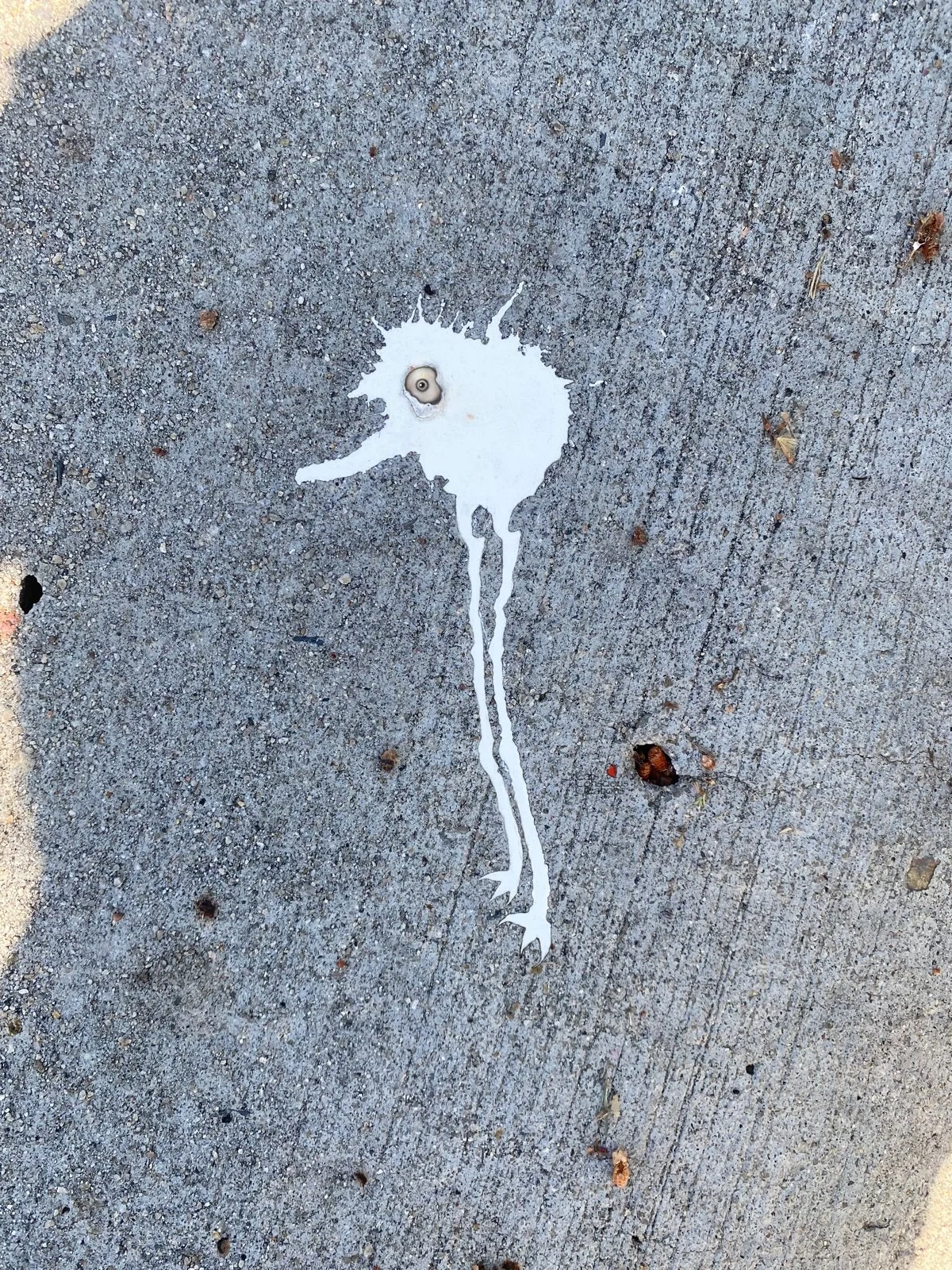 White paint spilled on concrete surface resembling a cartoonish bird with a round eye, a long thin tail, and two long legs ending in feathers.