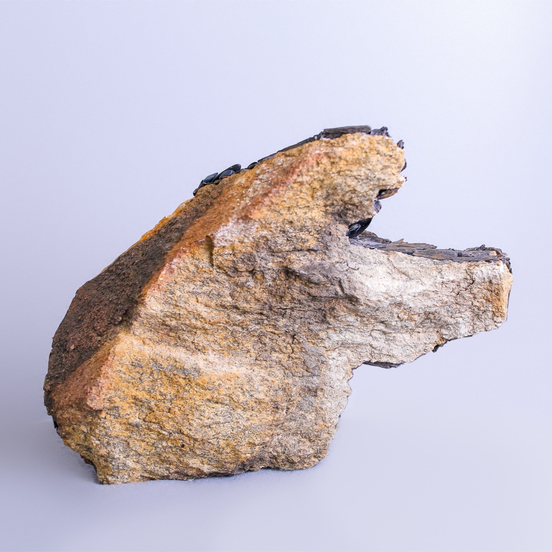 A close-up photograph of a textured rock, showing various shades of brown and gray, with a rough surface and some darker areas, against a plain, light-colored background.