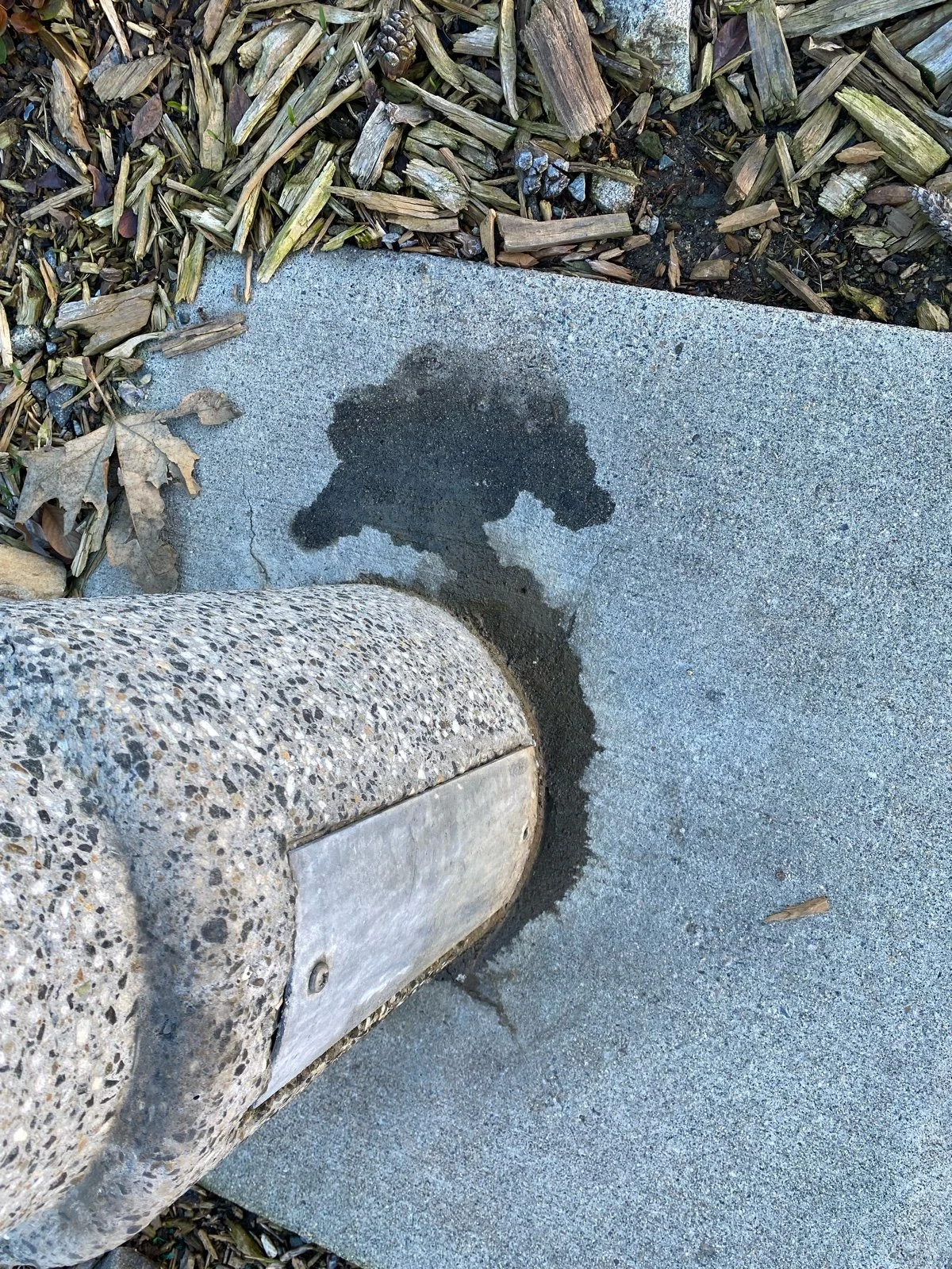 A wet spot on the sidewalk appears as a dark silhouette of a dog, with the tail and head visible, near a stone-lined bench.
