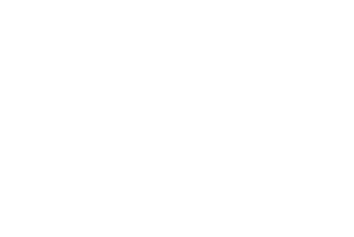 Cats Concious Creations