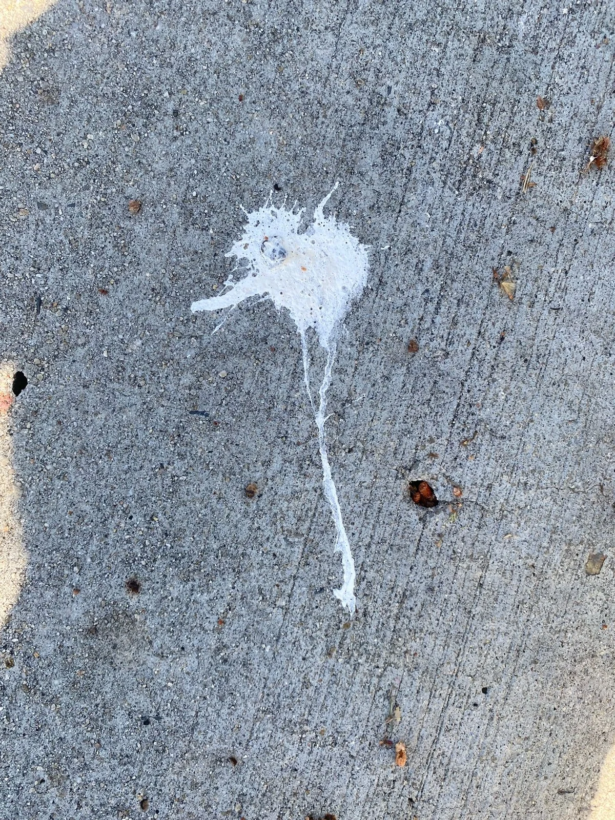A white paint splatter on gray concrete pavement with a long tail extending downward.