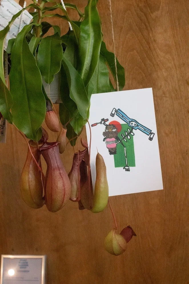 Houseplants and local artwork displayed inside Fort Worth Barbershop in Fort Worth.