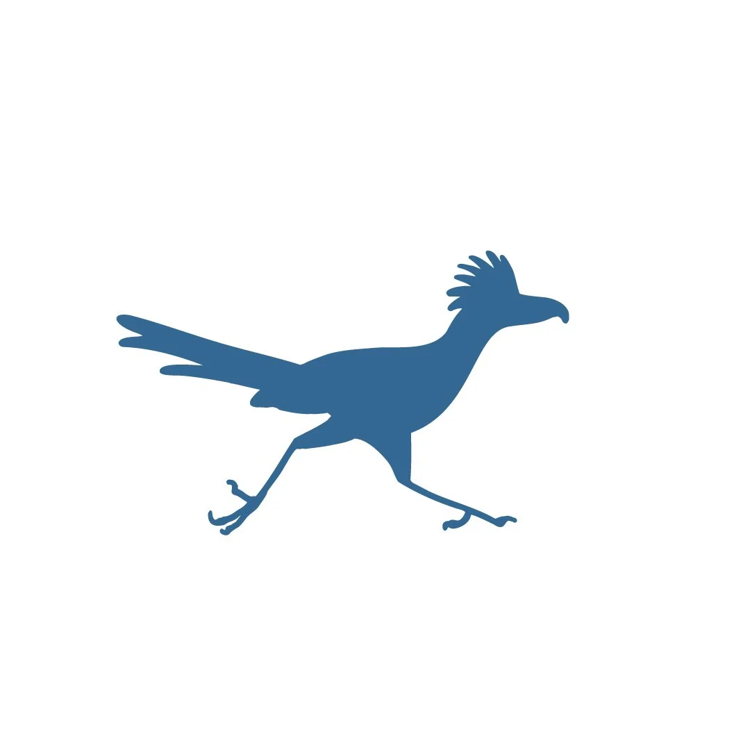 Silhouette of a bird with a crest, walking on a white background.