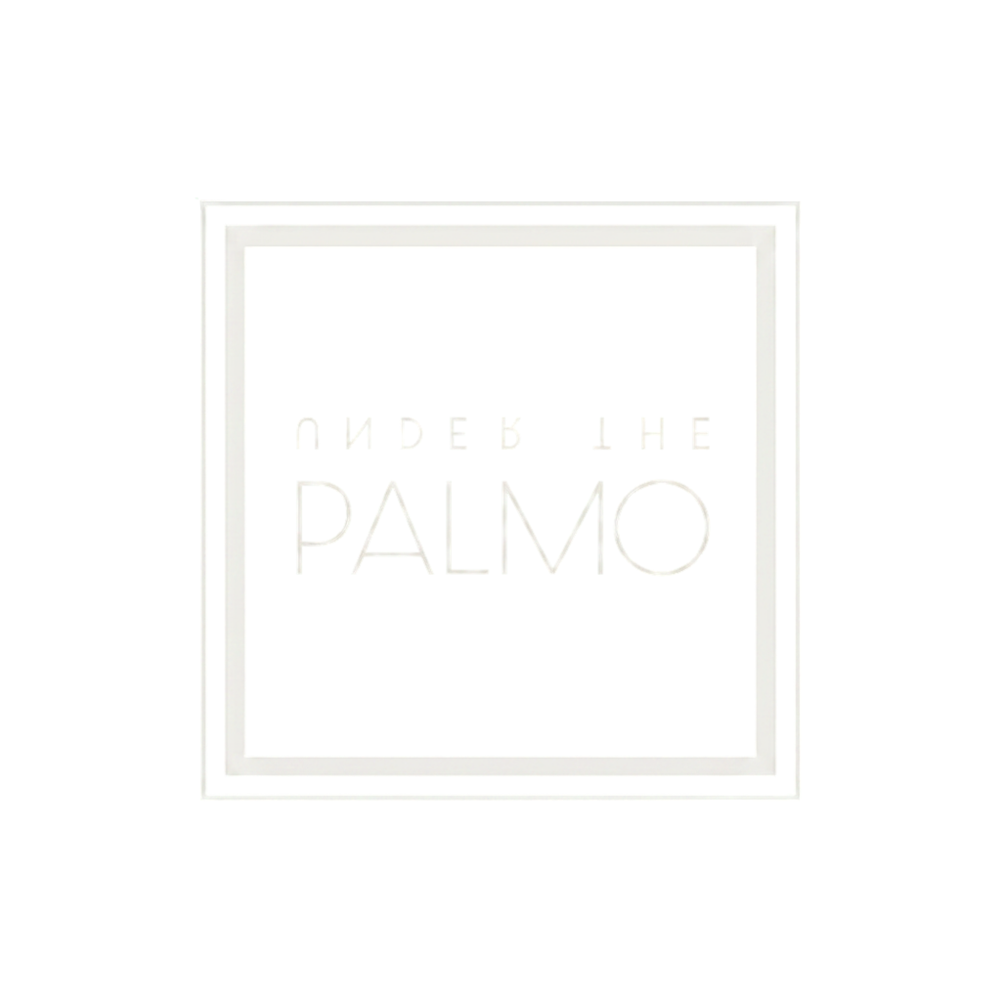 Under the Palmo logo