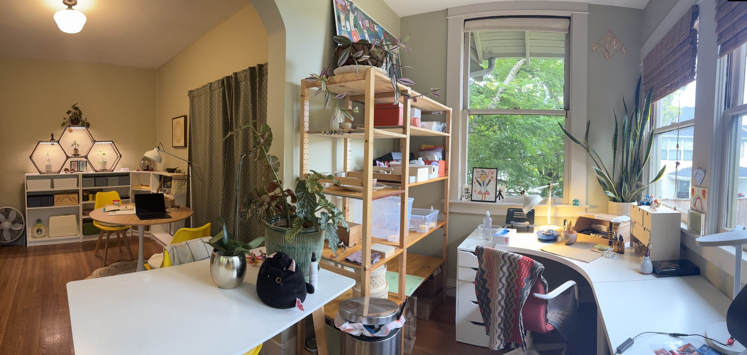 A cozy, well-lit room with a large window showing green trees outside, filled with various furniture, plants, shelves, and decorative items for work and leisure.