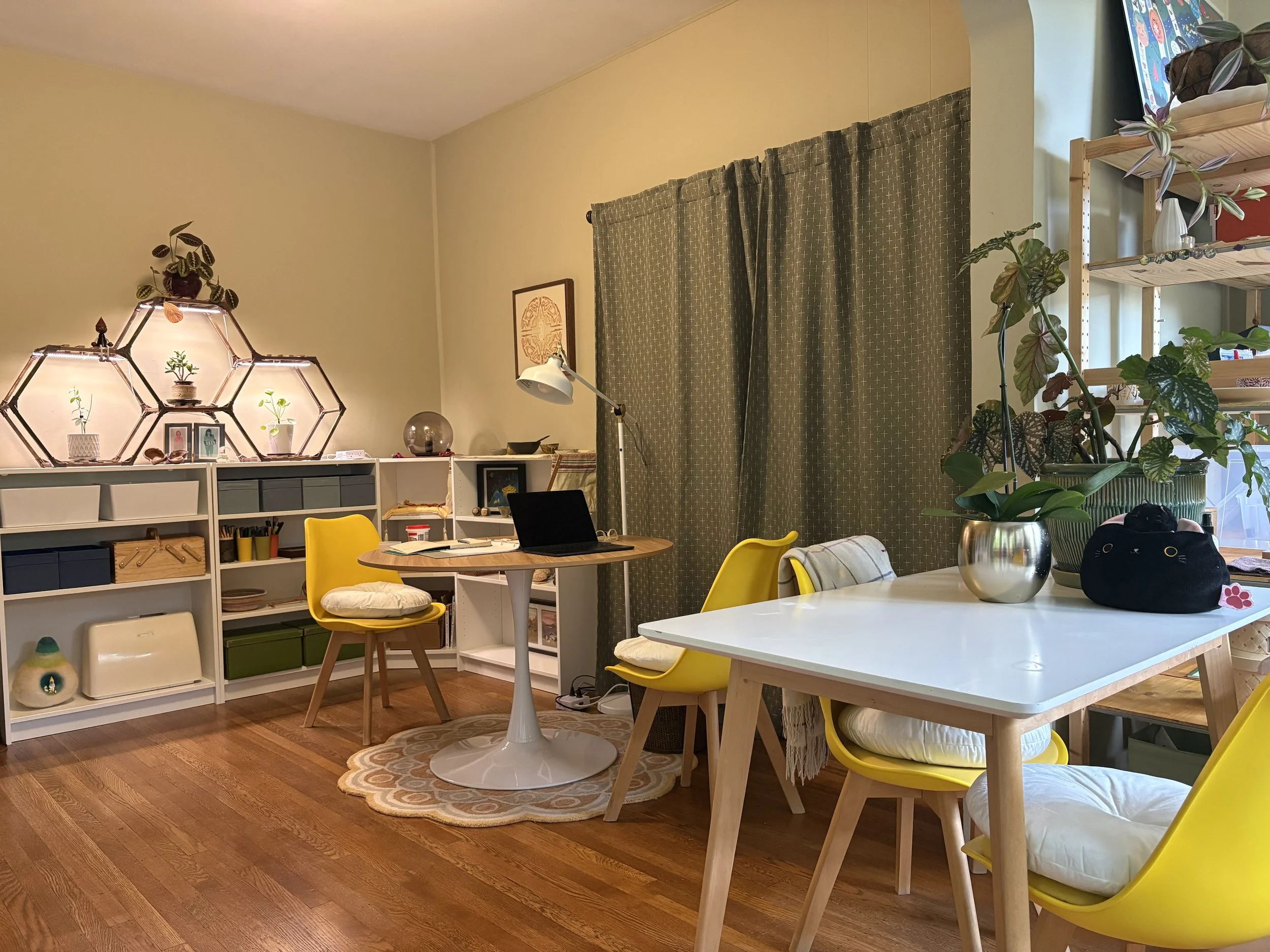 A cozy room with a white shelving unit filled with plants and decor, a white round table with yellow chairs, and a variety of plants on a shelf and in a large pot. There's a patterned curtain covering a window and wooden flooring.