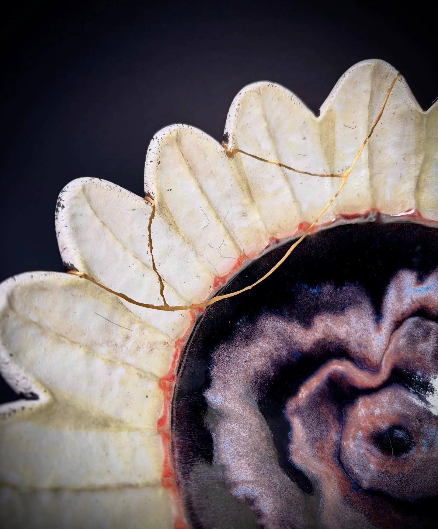 Close-up of a sliced, dry white flower with cracked petals and a dark center against a black background.