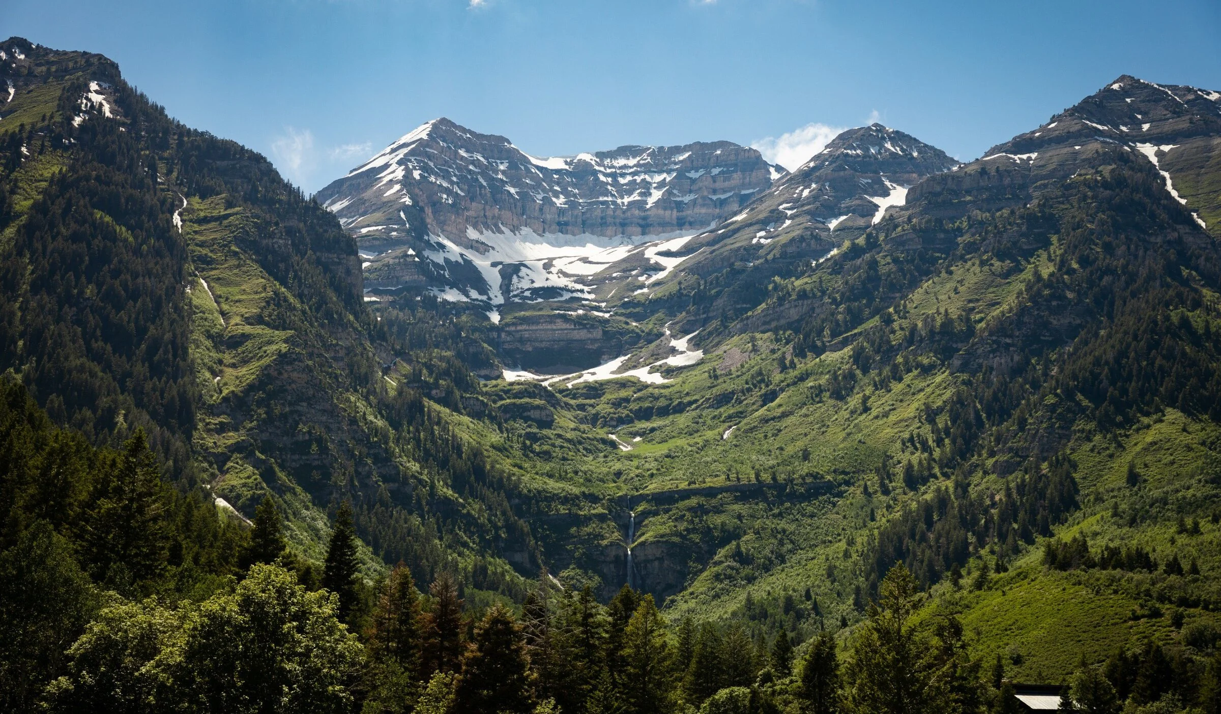 Snow-capped mountains overlooking a lush green forest with a waterfall.