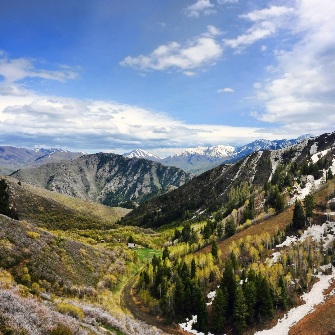 Scenic mountain landscape with snow-capped peaks, evergreen trees, and a cloudy blue sky.