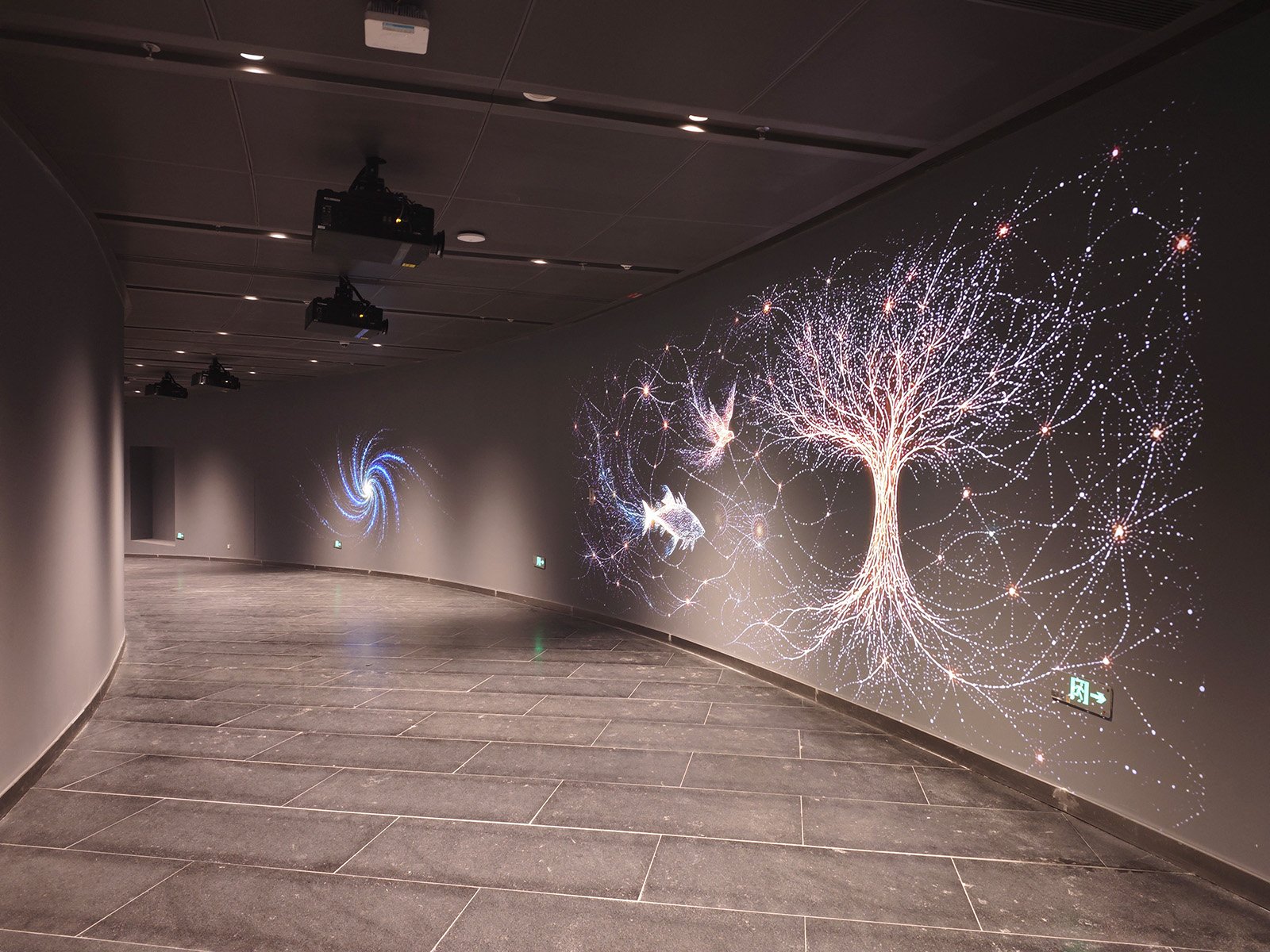 Dimly lit art gallery with a curved wall displaying digital light artworks, including a glowing tree and a swirling spiral, with mounted projectors on the ceiling.