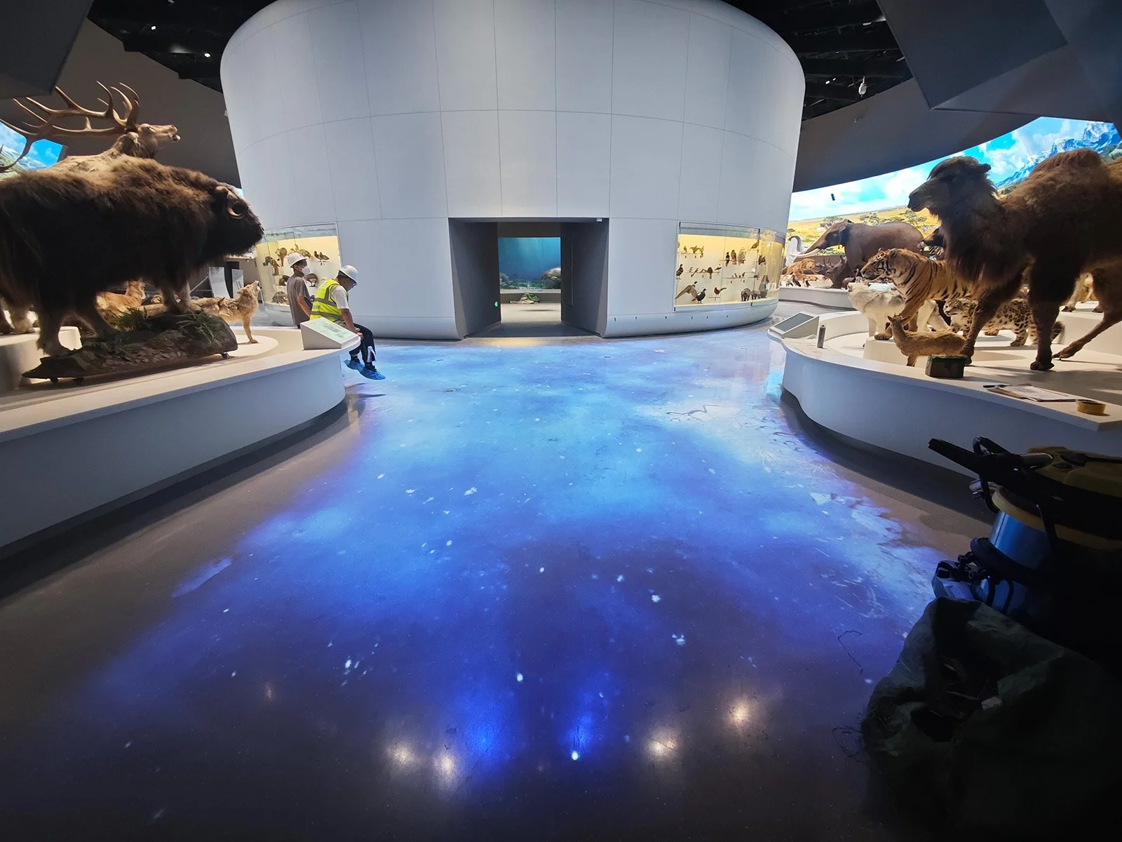 深圳自然博物館動態地面雷射投影與生態標本展區 (Shenzhen Natural History Museum interactive floor ALPD projection and wildlife gallery)