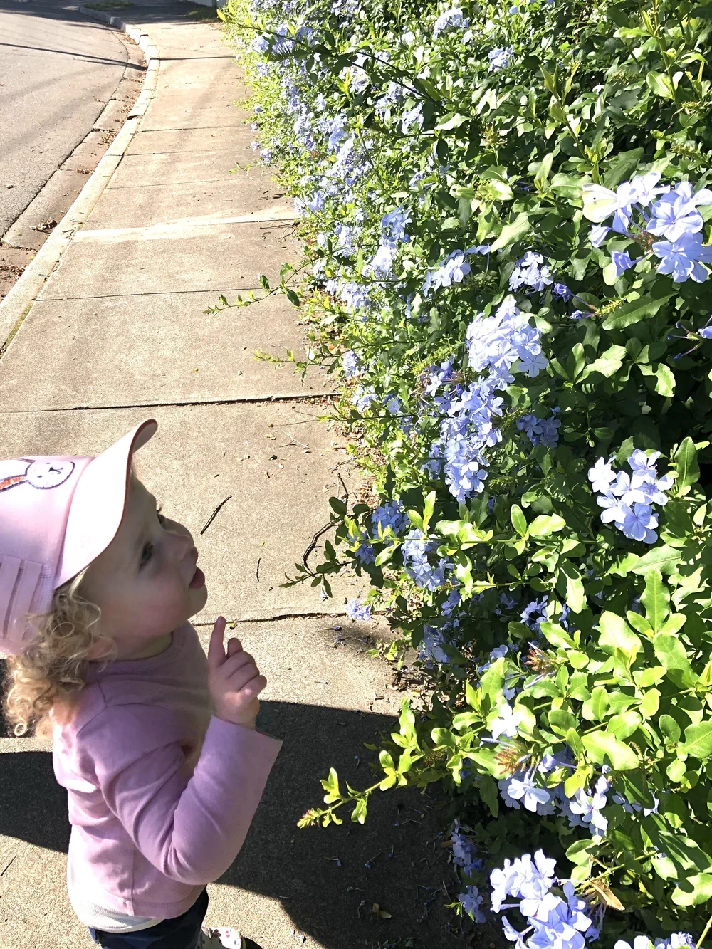 “Keep going Mummy!” and other words of wisdom from a toddler