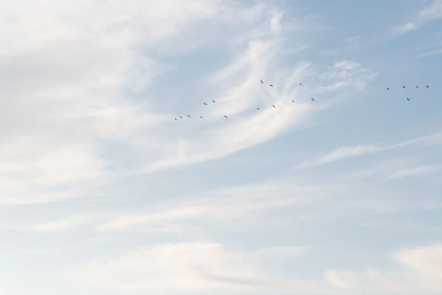 Pale blue sky with soft clouds and birds flying overhead.