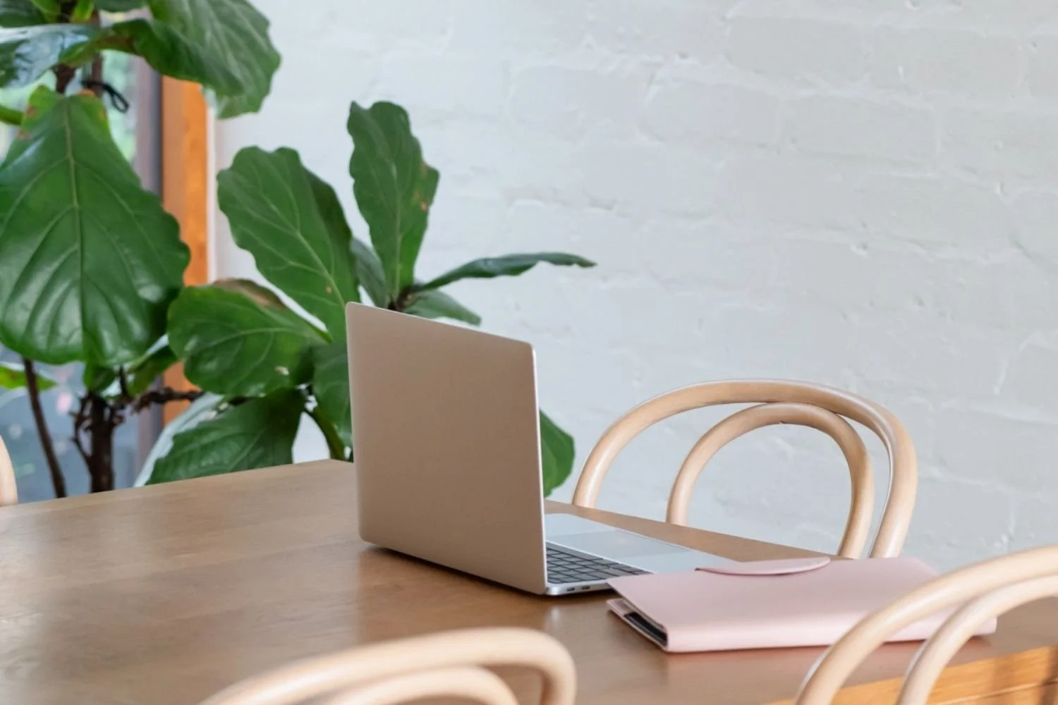 Laptop and pink planner on a wooden table in a calm workspace with plant in the background.