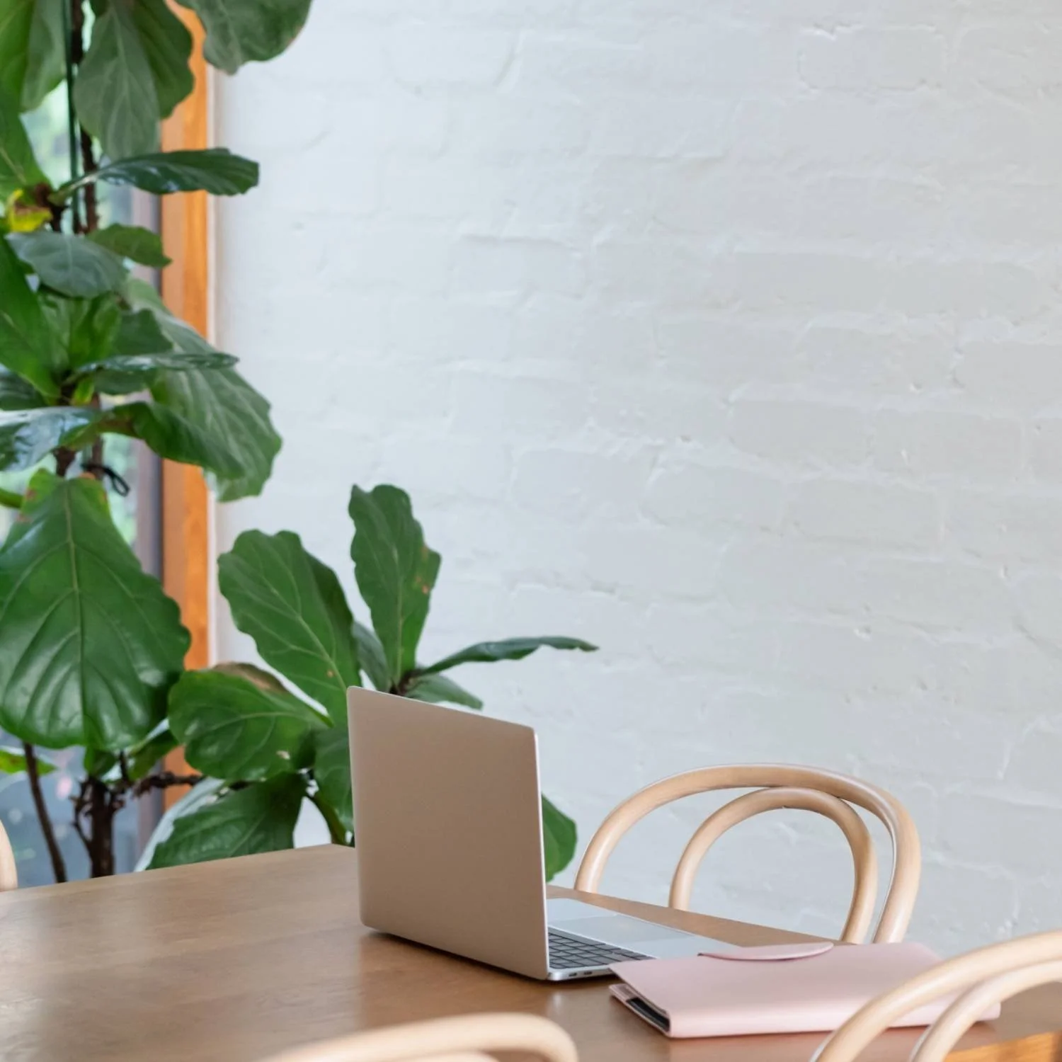 Laptop and pink planner on a wooden table in a calm workspace with a plant in the background.
