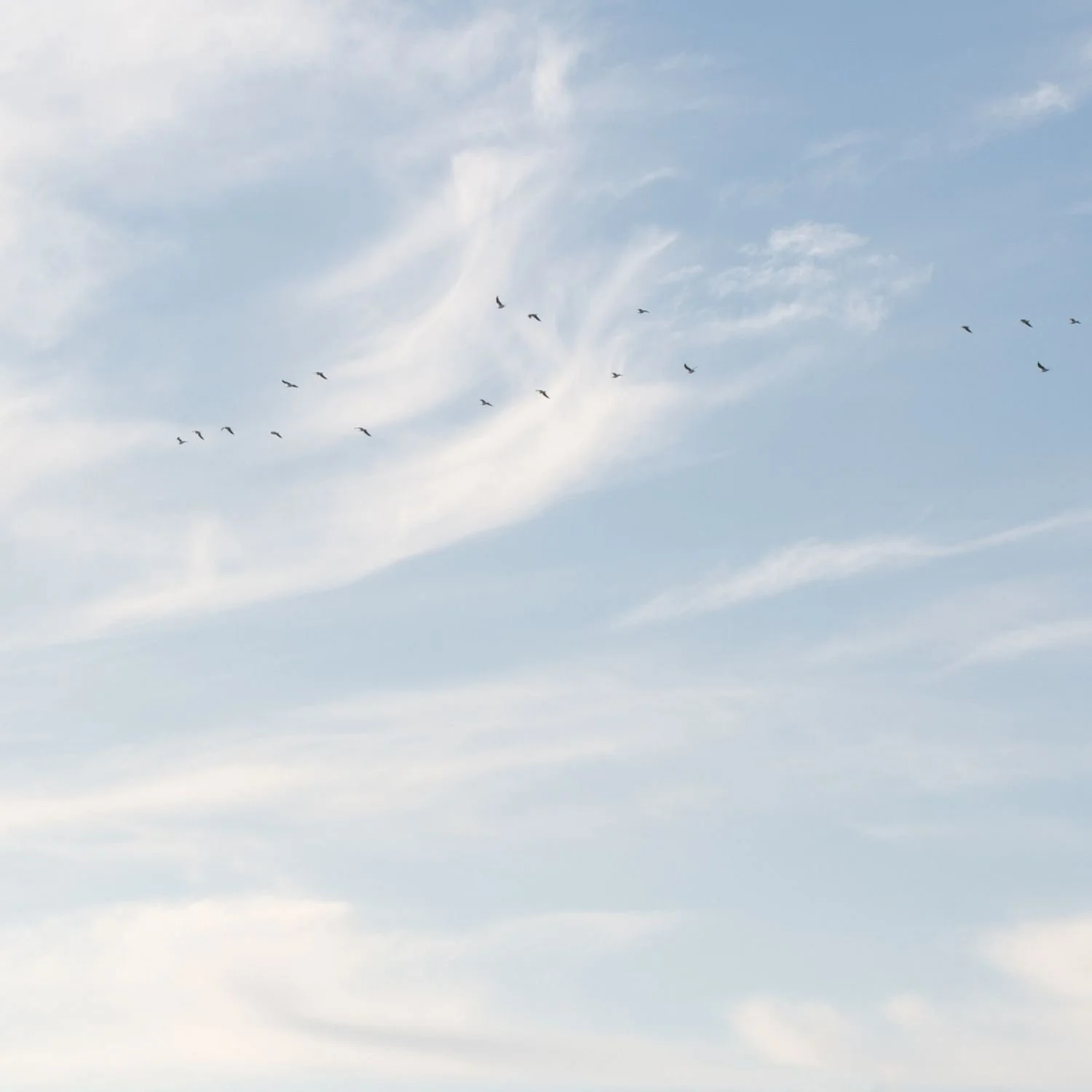 Pale blue sky with soft clouds and birds flying overhead.
