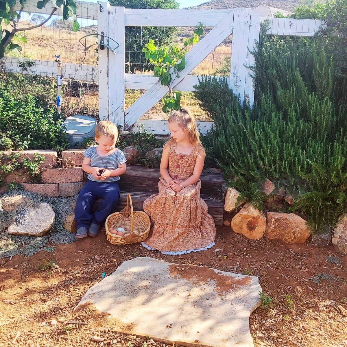 From Dream to Reality: How We Built Our Family Farm