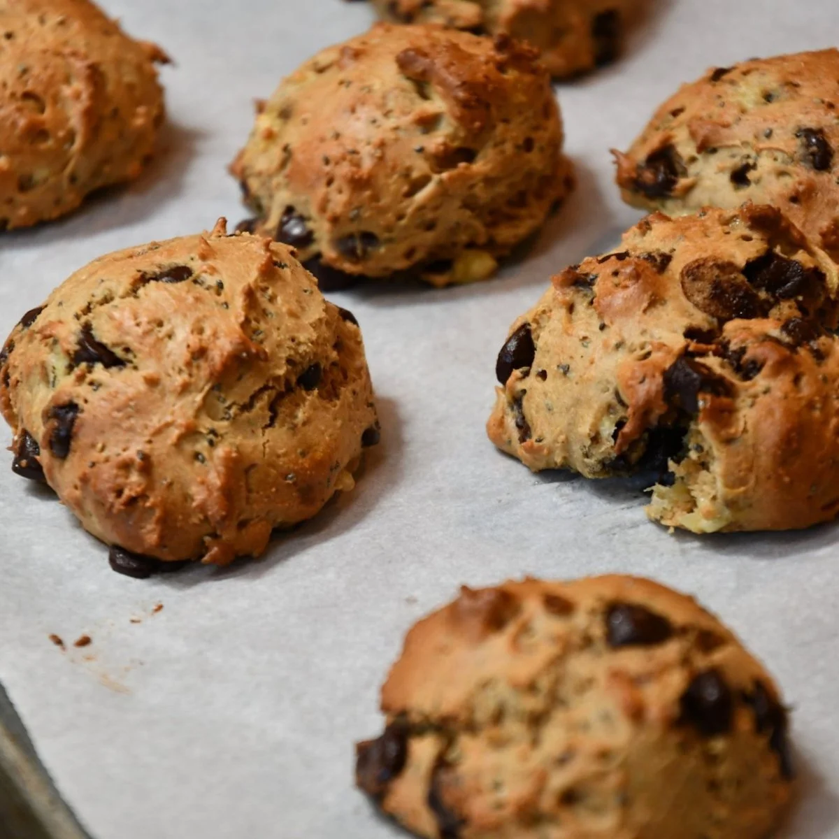 Gluten free Protein Cookies for Busy Days and Family Trips
