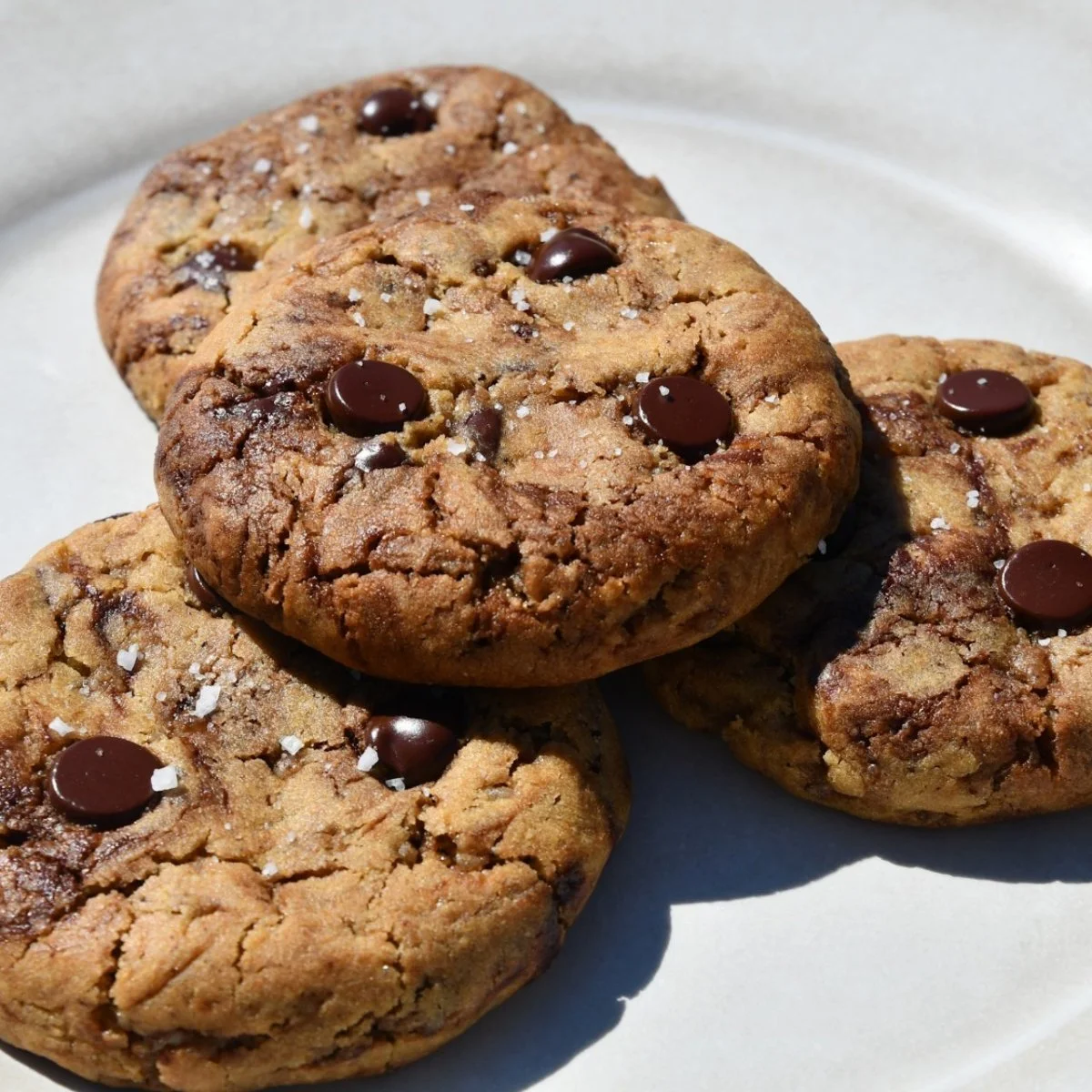 Gluten Free Pumpkin Chocolate Chip Cookies, My Favorite Fall Treat