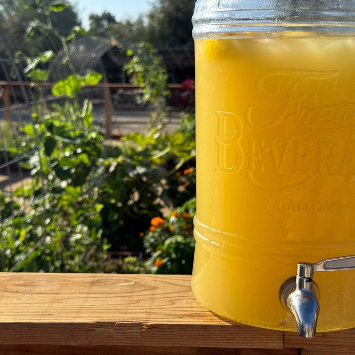 Ginger Pineapple Lemonade Refresher That Actually Helps Your Body
