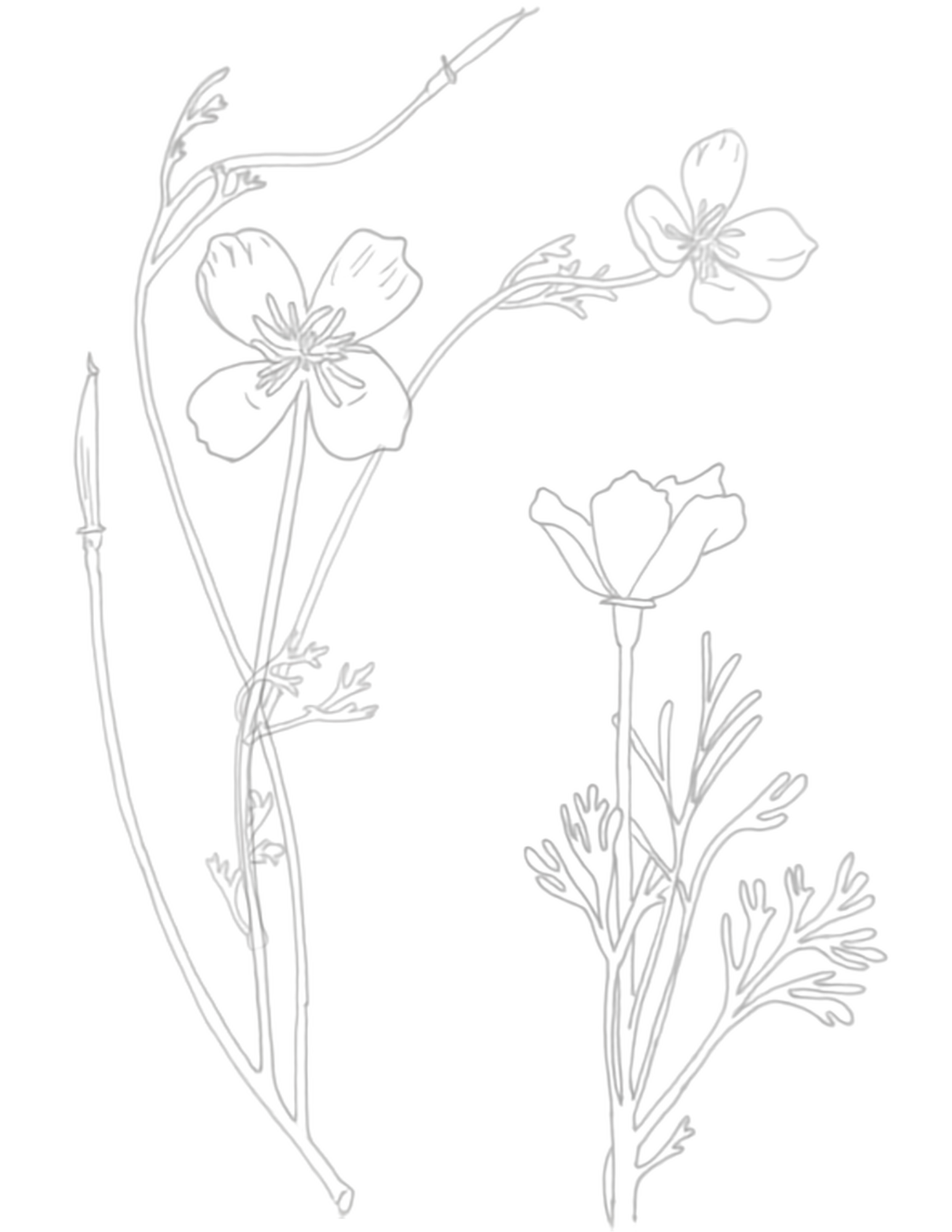 IMG_8330.png