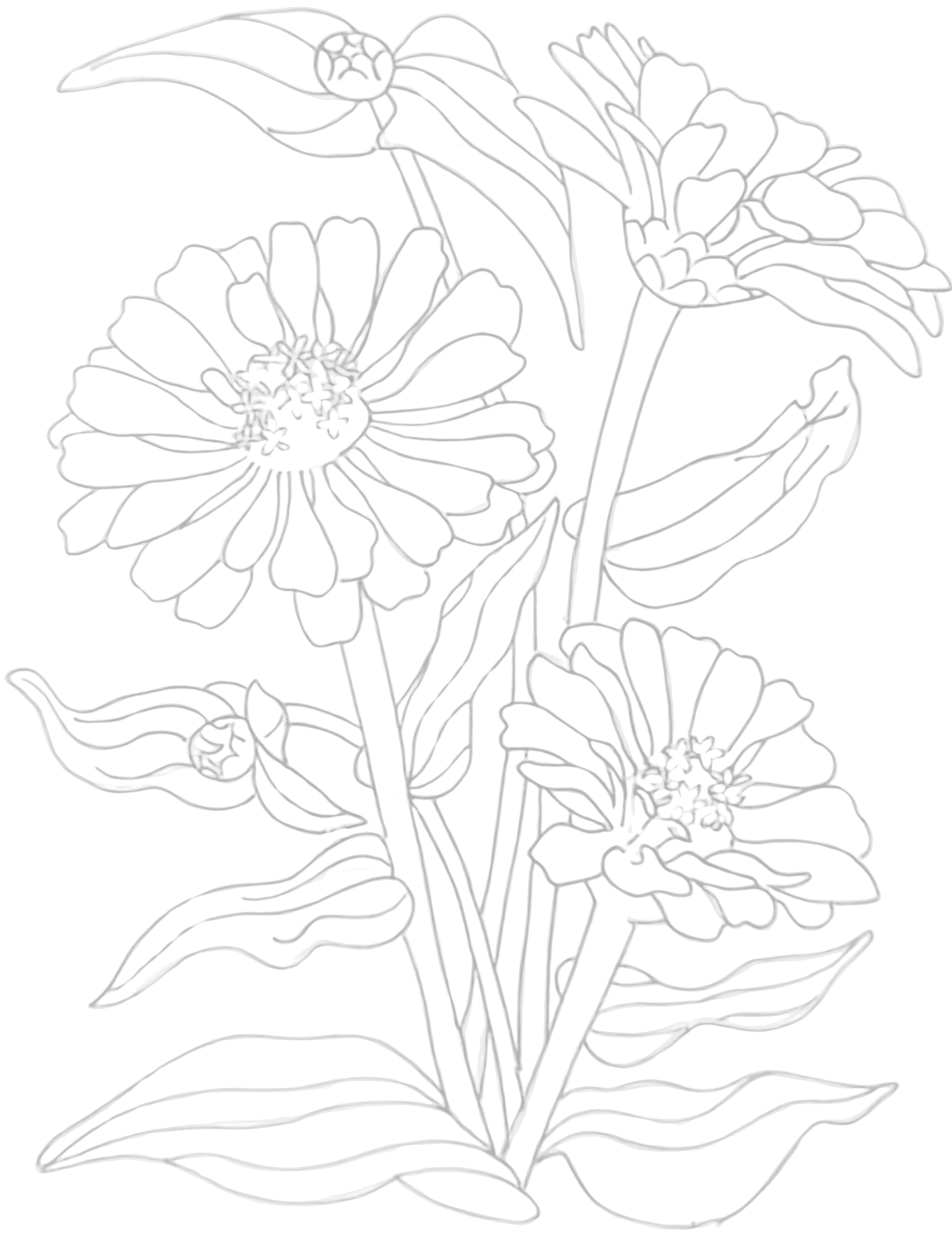 IMG_8328.png
