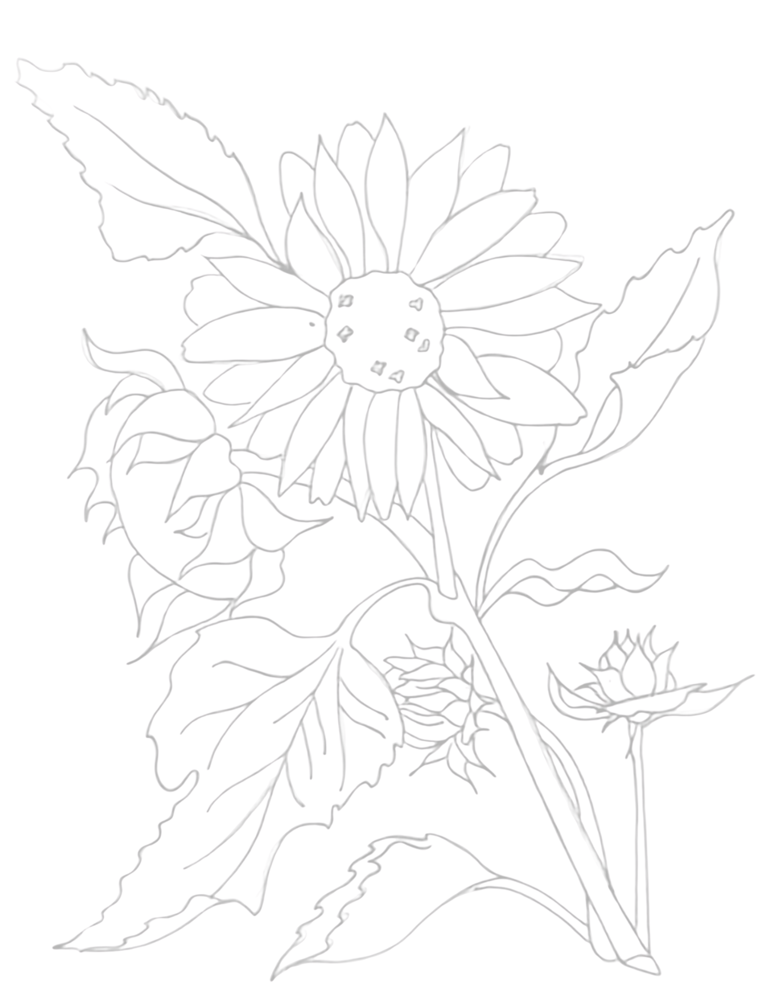 IMG_8329.png