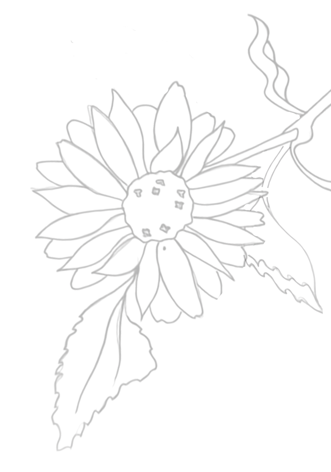 FinalBotanical Watercolor (7 x 10 in) - 2.png