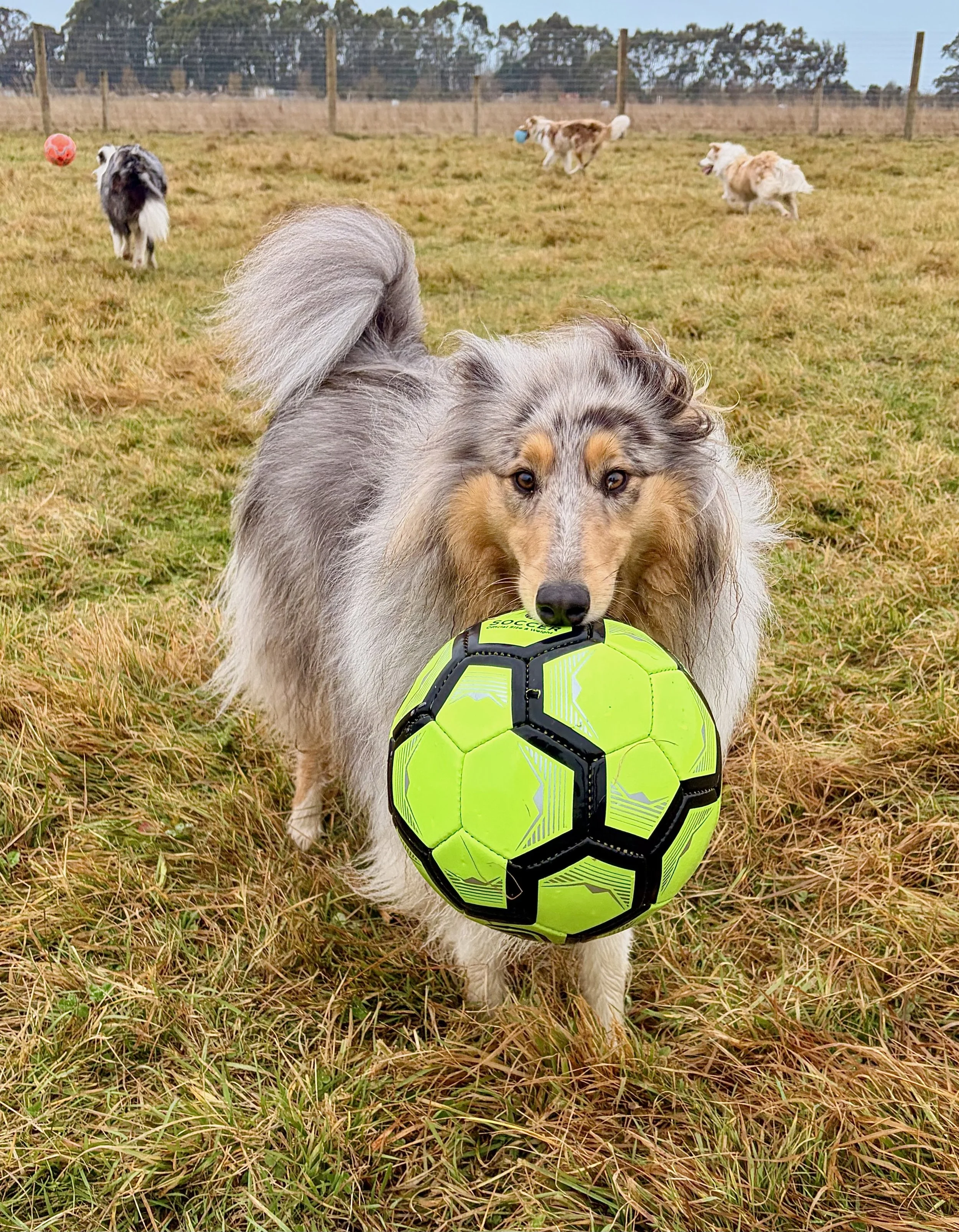 Lyla playing soccer