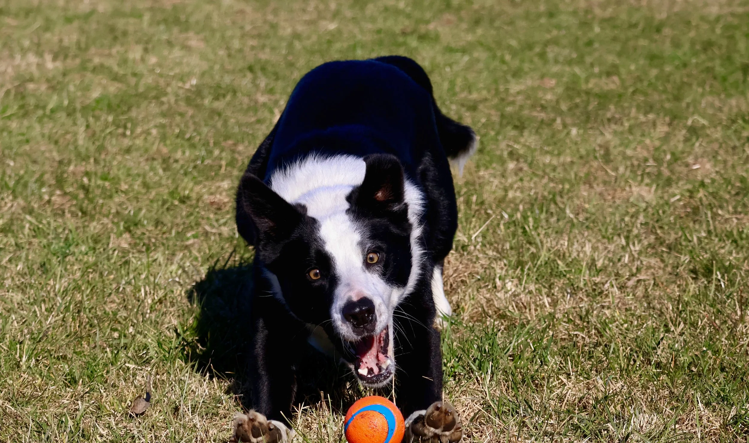 LEXI.boy1.jpg