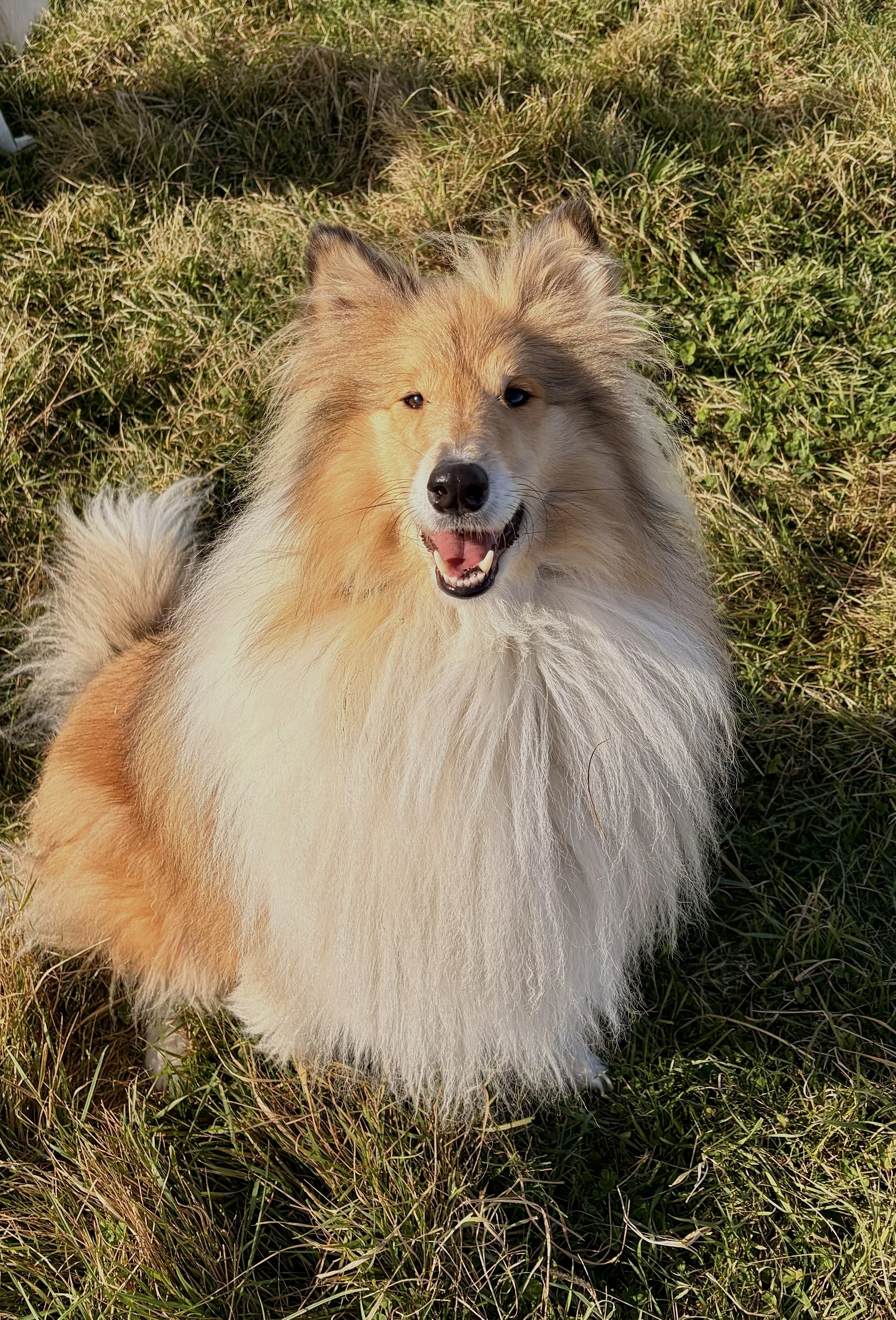 Kaia, soaking up some rays