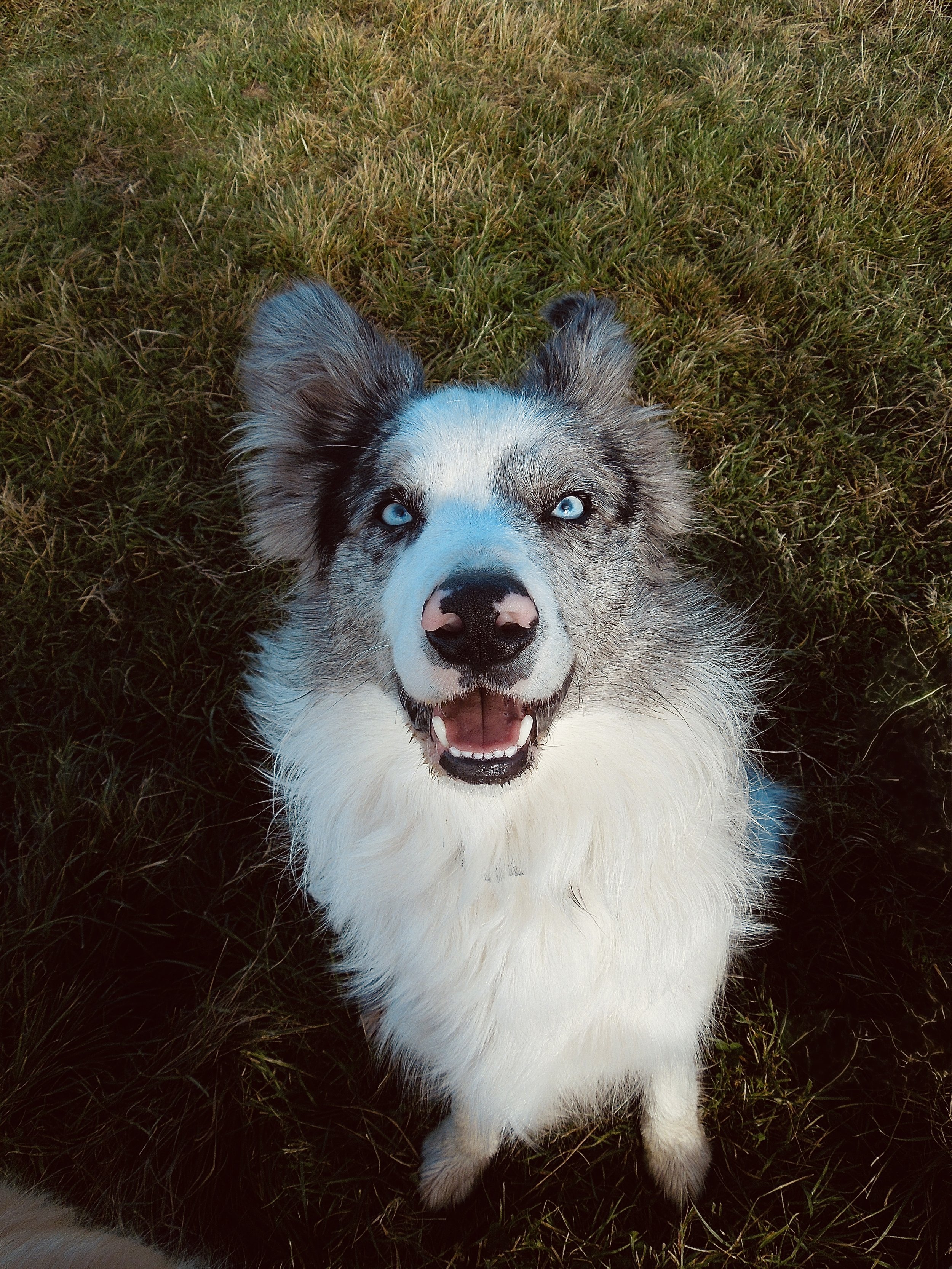 Blue