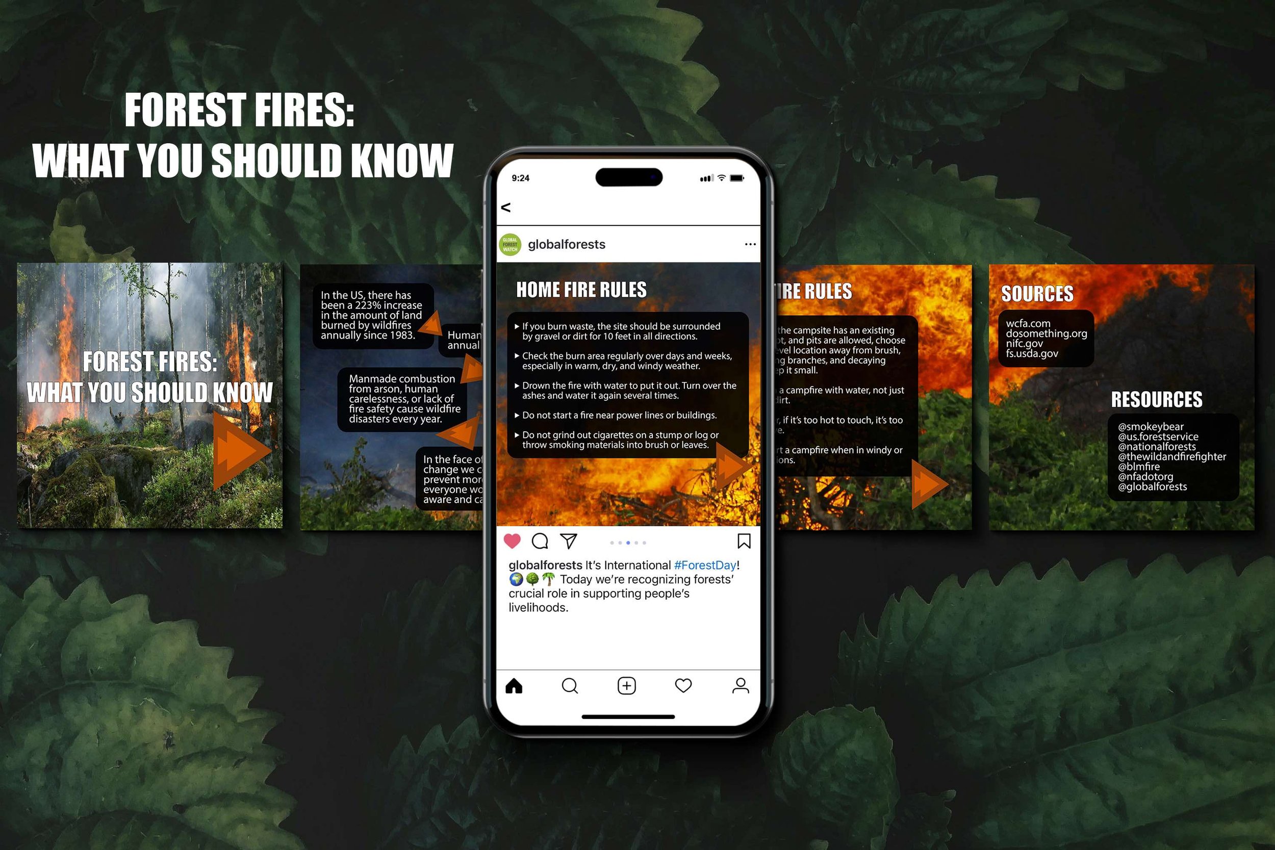 Shamik Bilgi infographic on Forest Fires