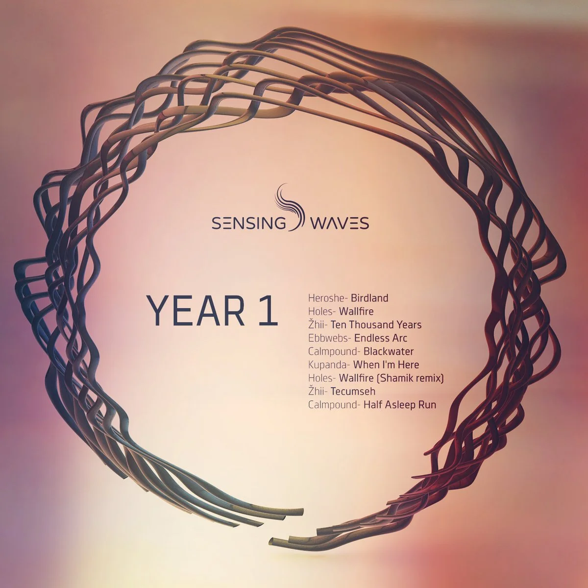 Sensing Waves Year 1 compilation