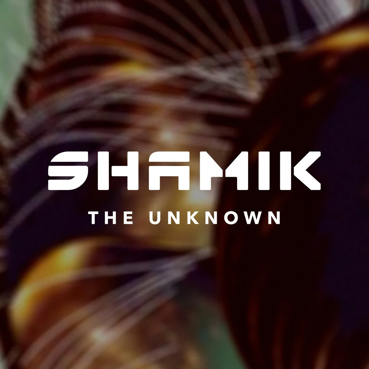 Shamik - The Unknown artwork