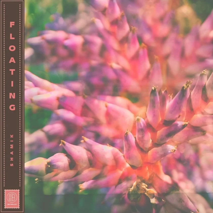 Shamik - Floating artwork
