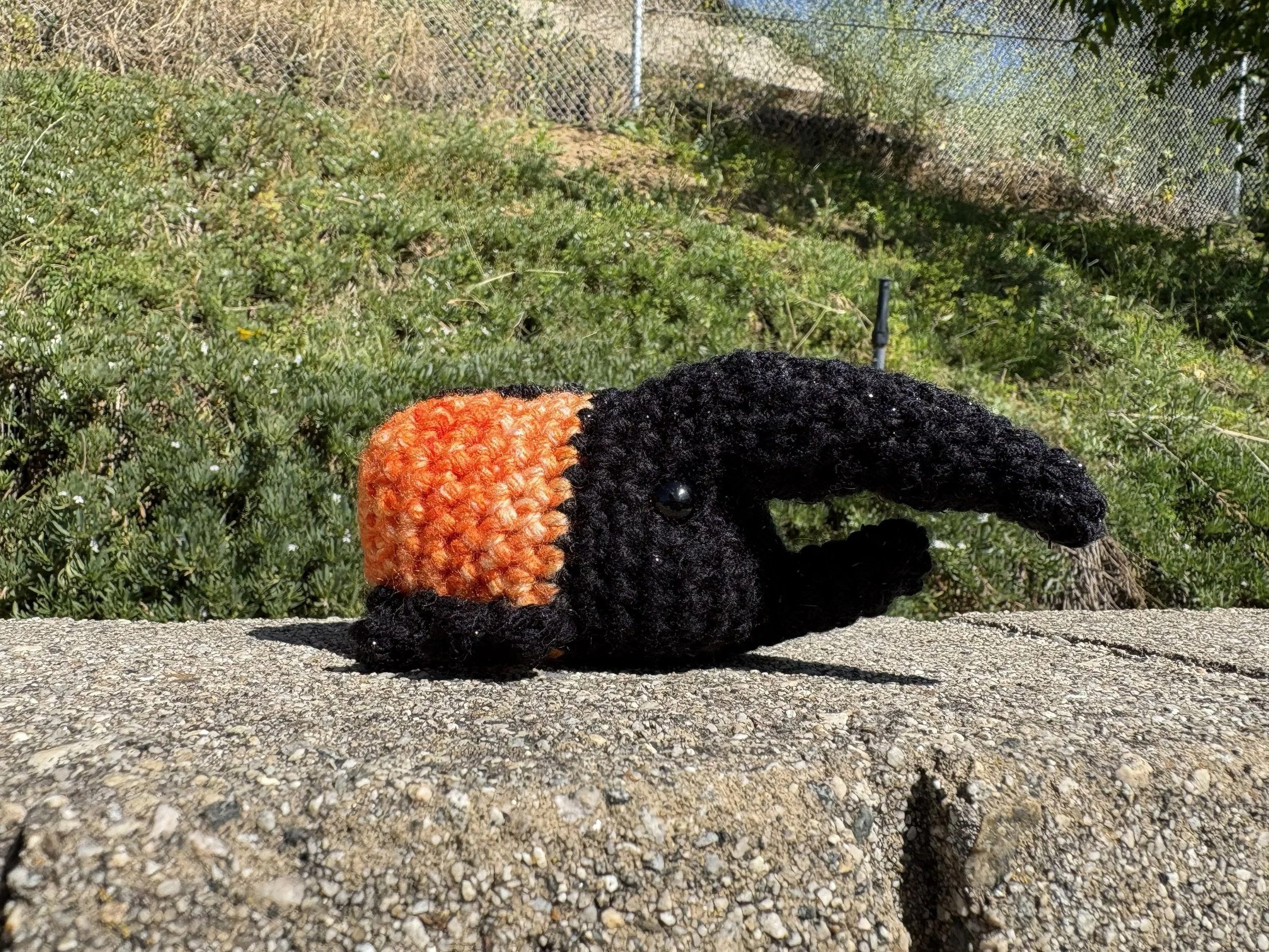 Crochet Beetle Project