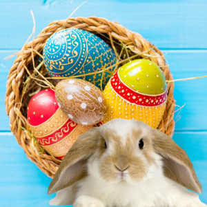 A bunny sits in front of a basket of colorful, patterned Easter eggs on a bright blue wooden background, creating a festive scene.