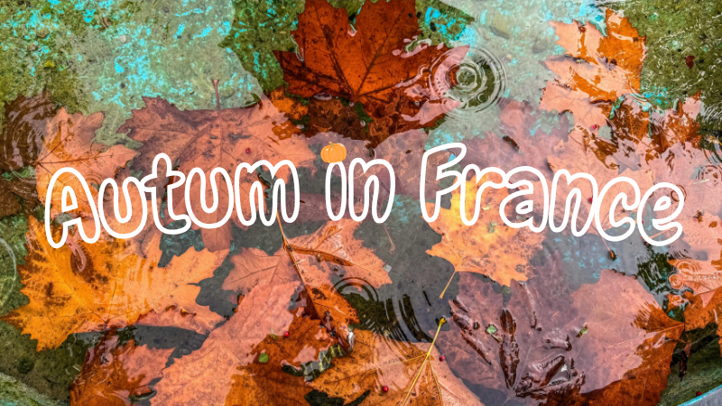 Orange and brown autumn leaves in a puddle with raindrops. Text reads "Autumn in France" in white, cheerful font.